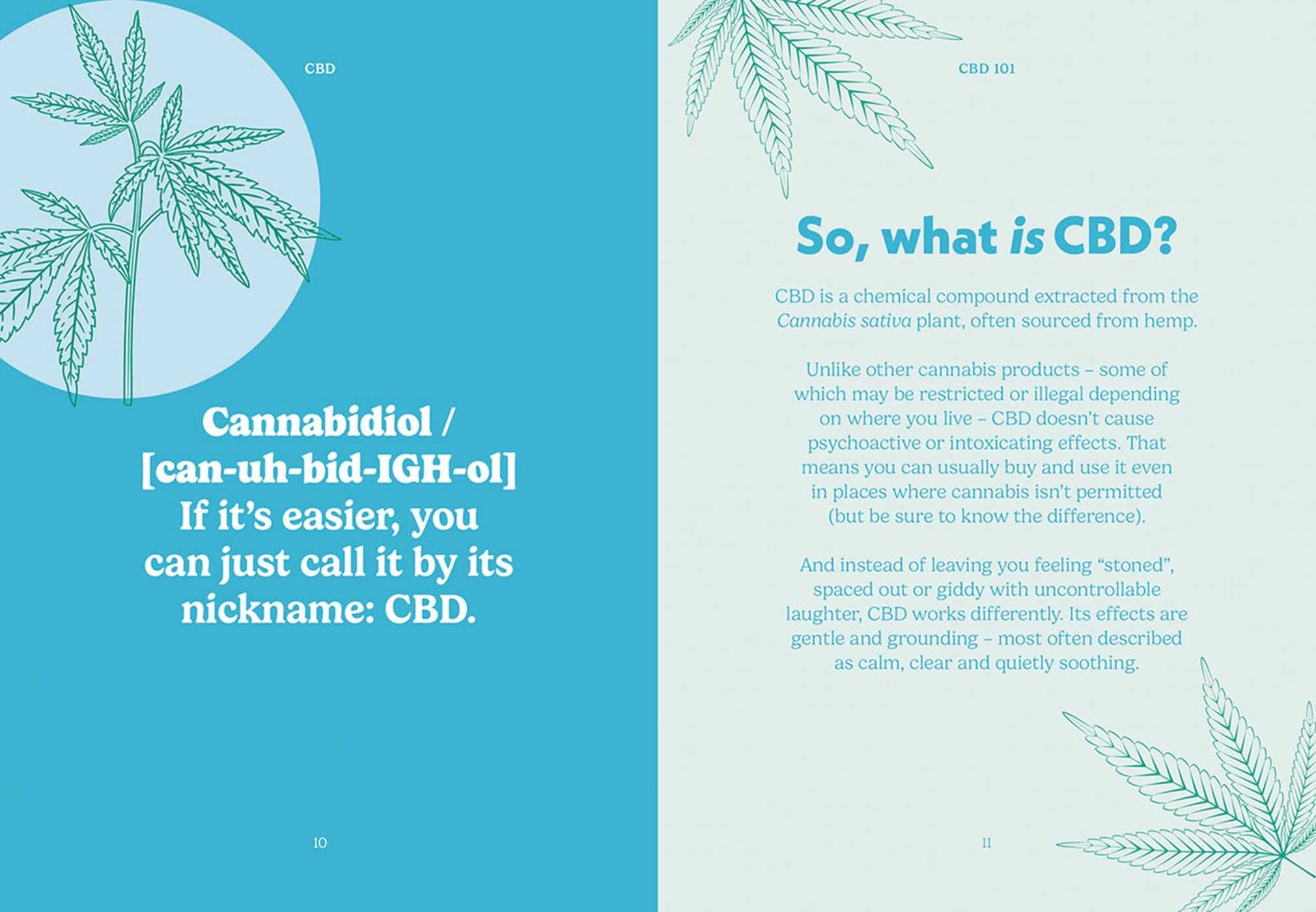 Pocket CBD