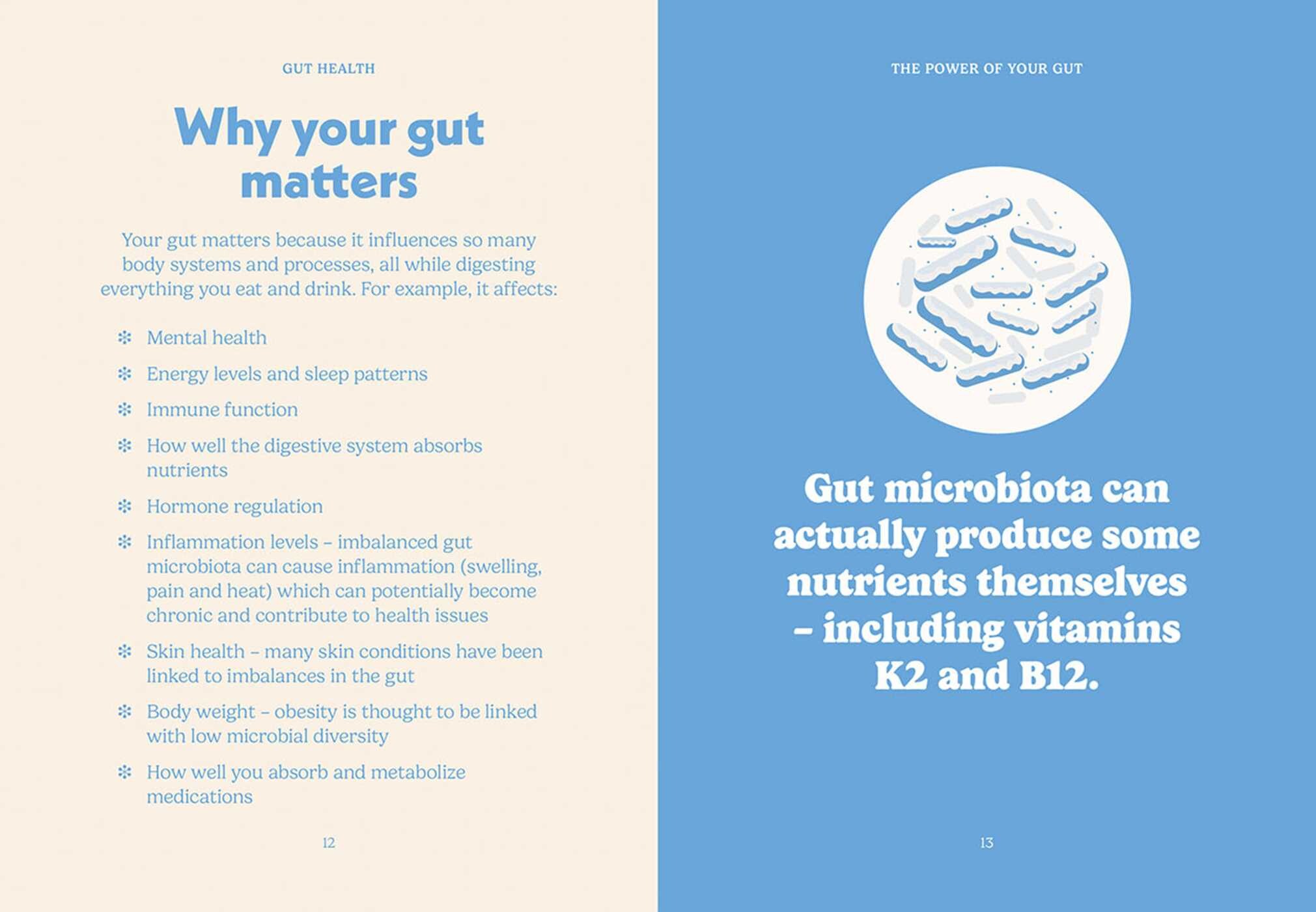 Pocket Gut Health