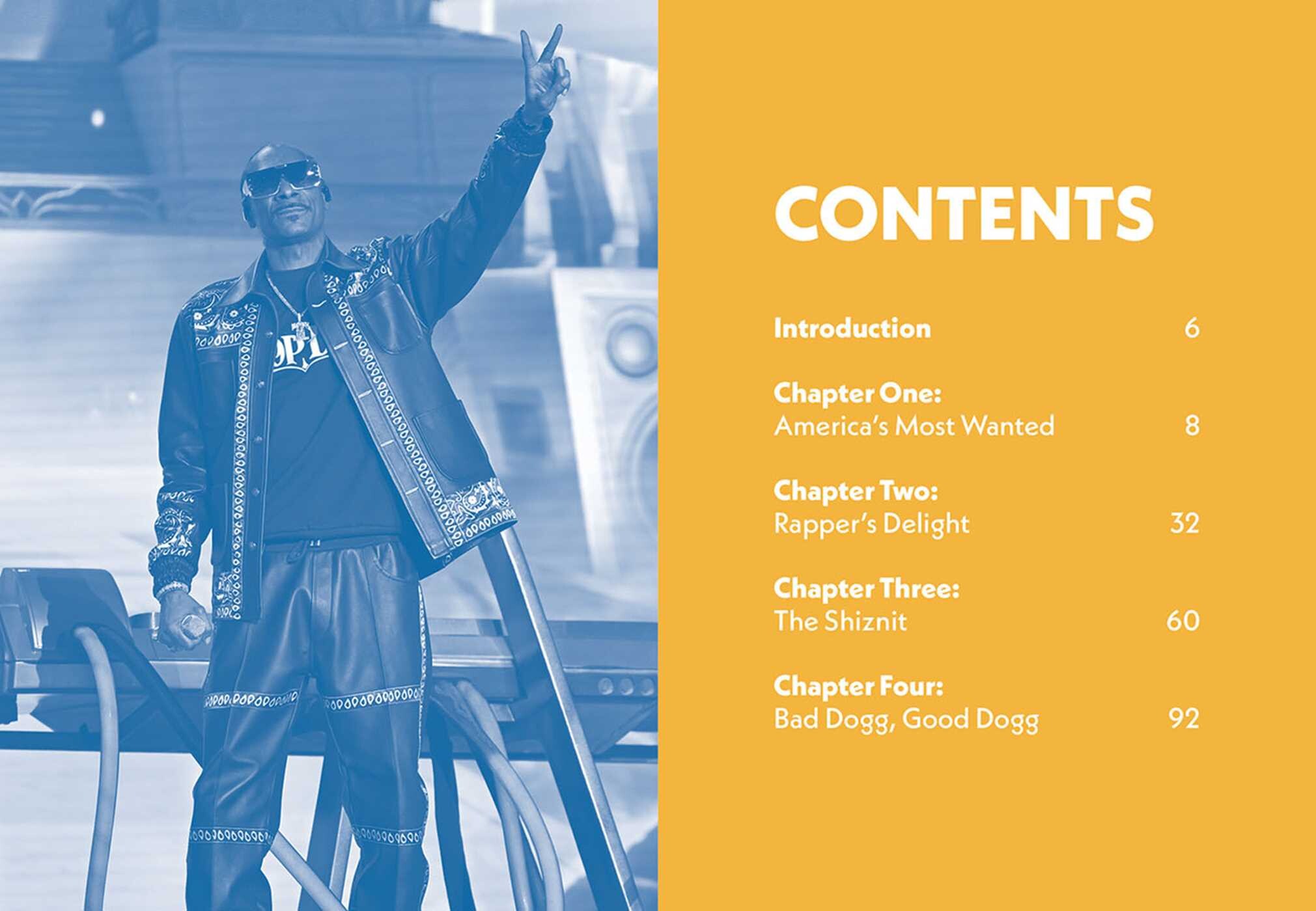 Pocket Snoop Dogg