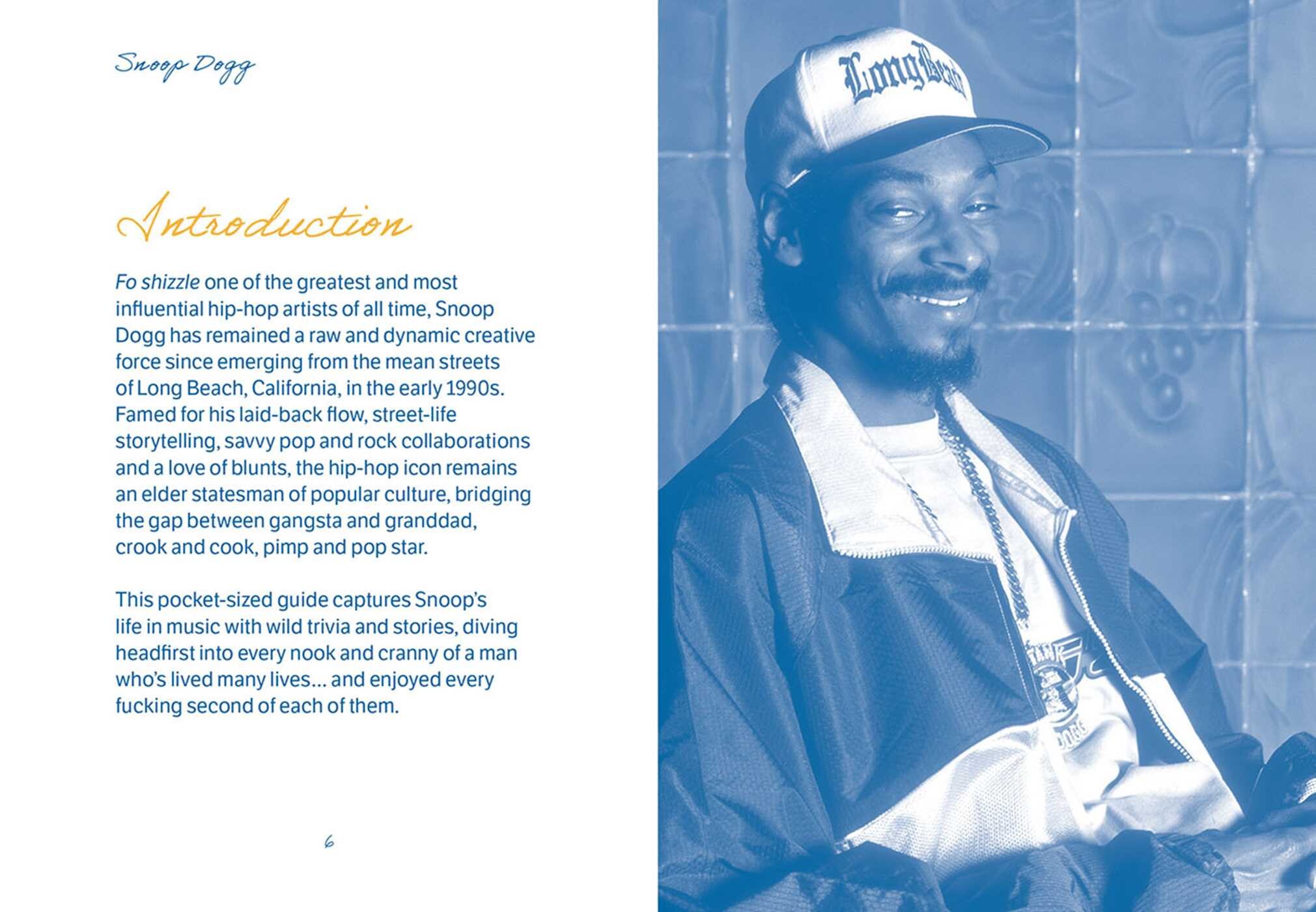 Pocket Snoop Dogg
