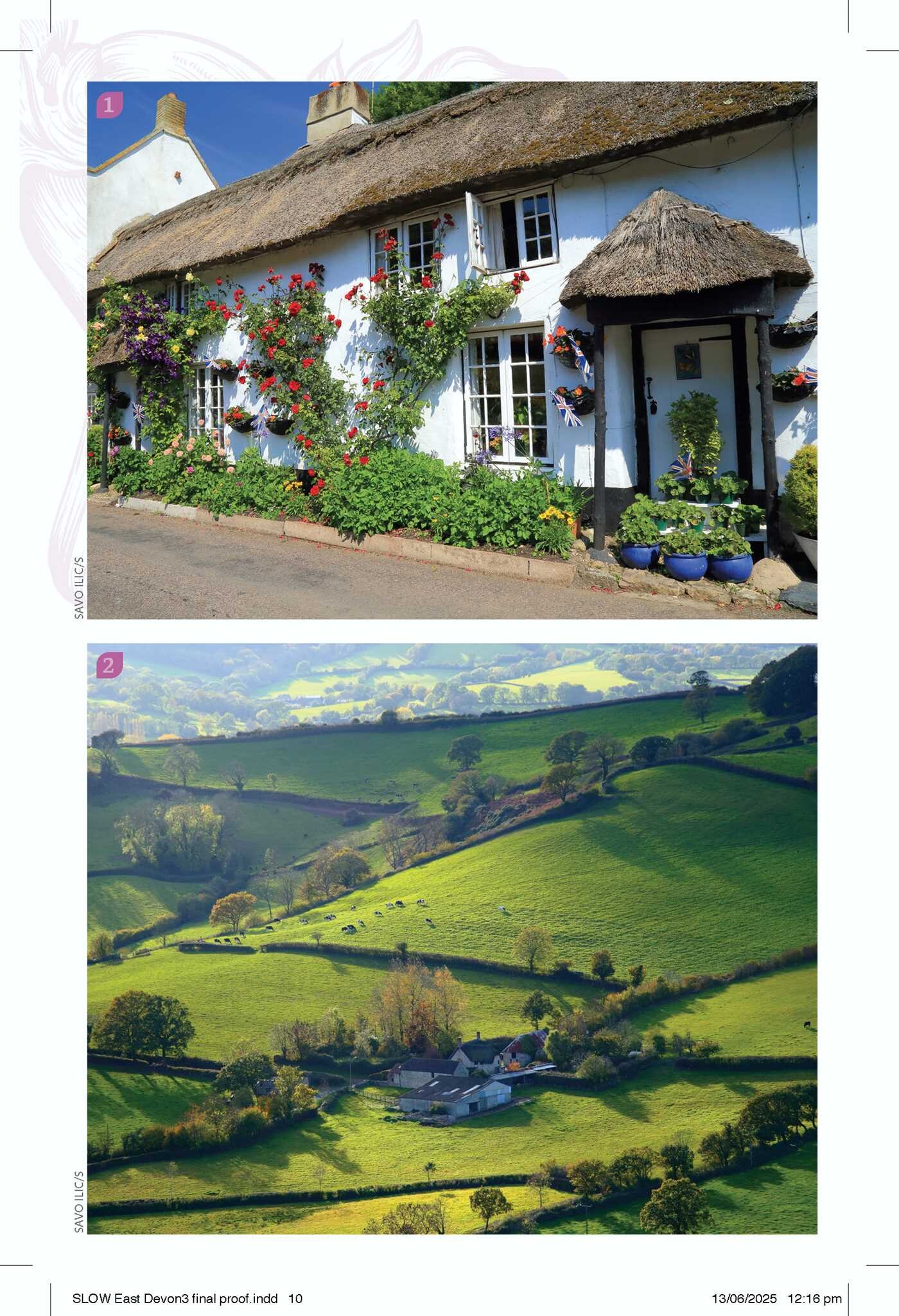 East Devon & The Jurassic Coast