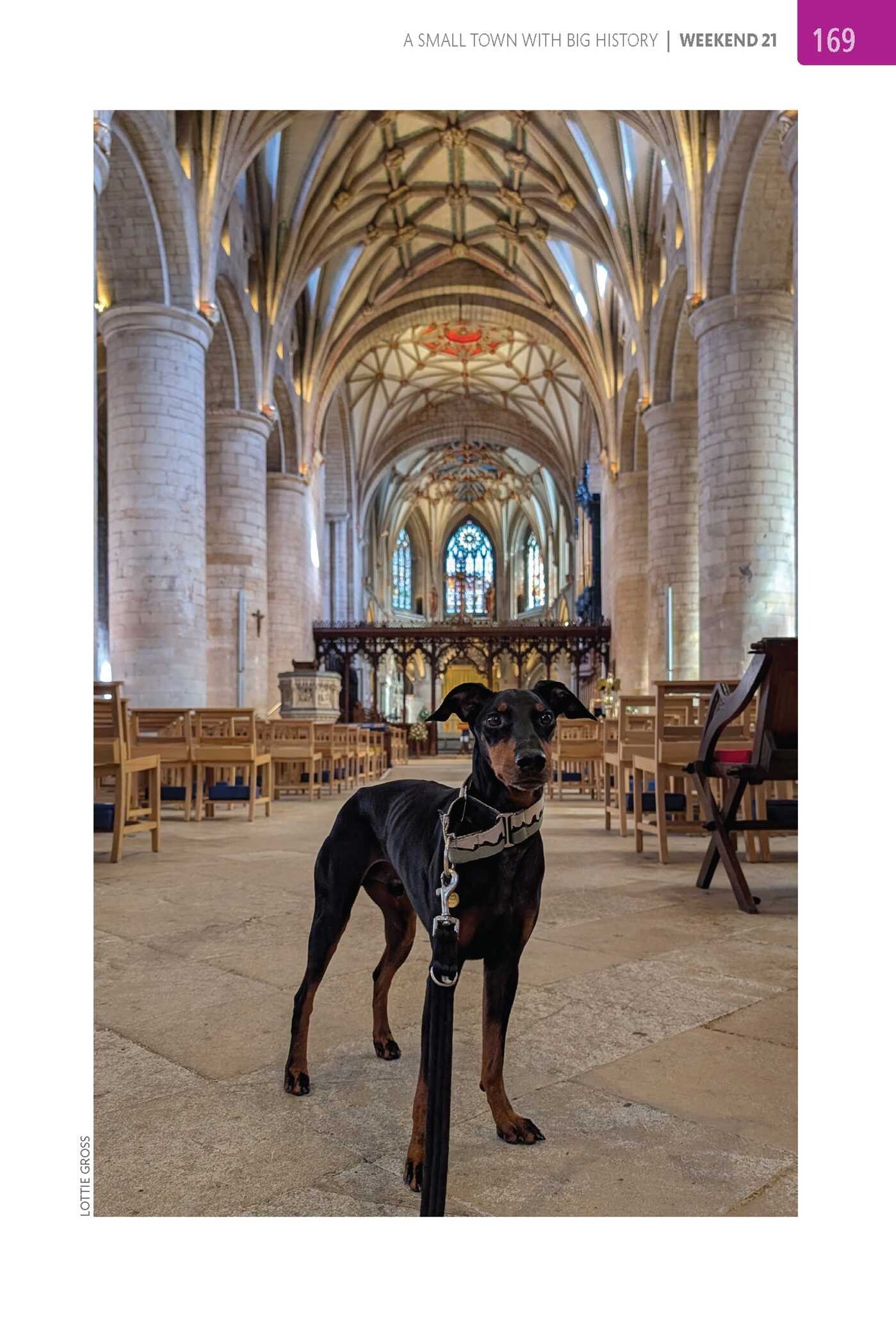 Dog-Friendly Weekends: Cotswolds