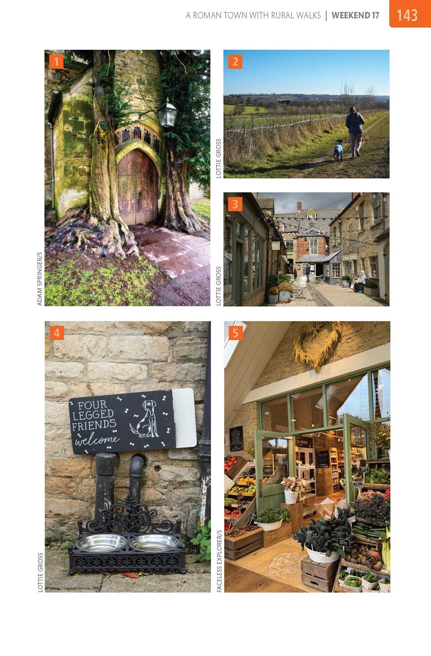 Dog-Friendly Weekends: Cotswolds