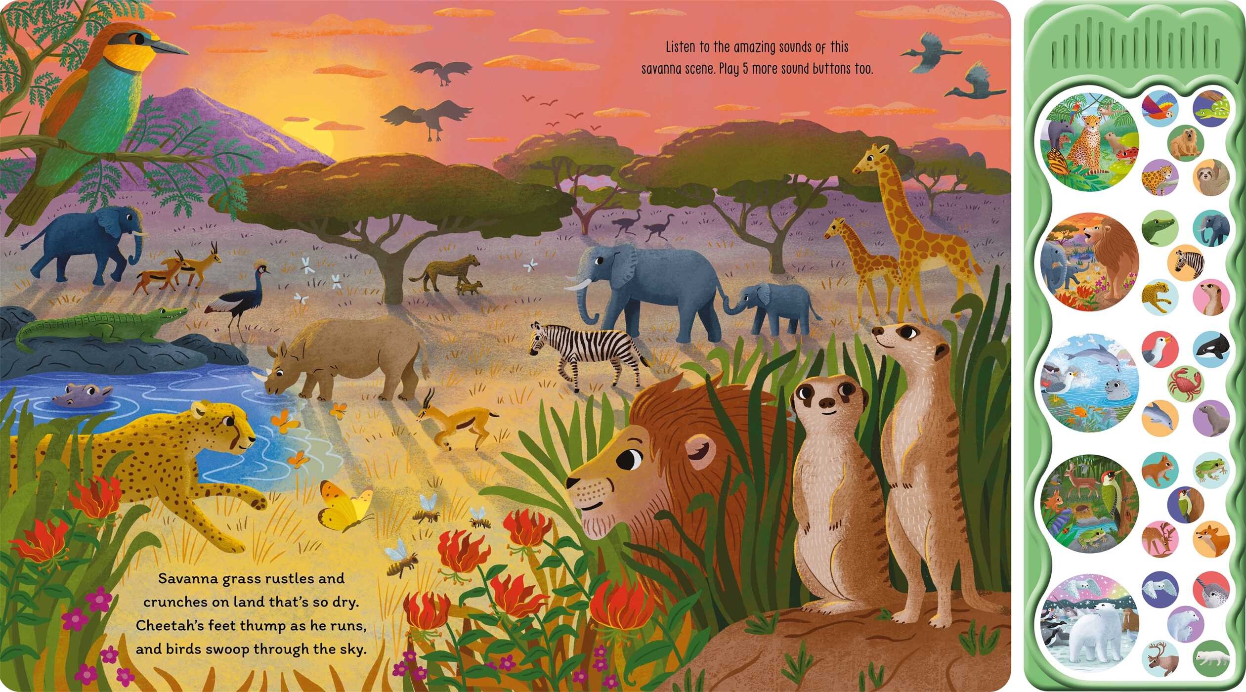 Sounds of the Wild