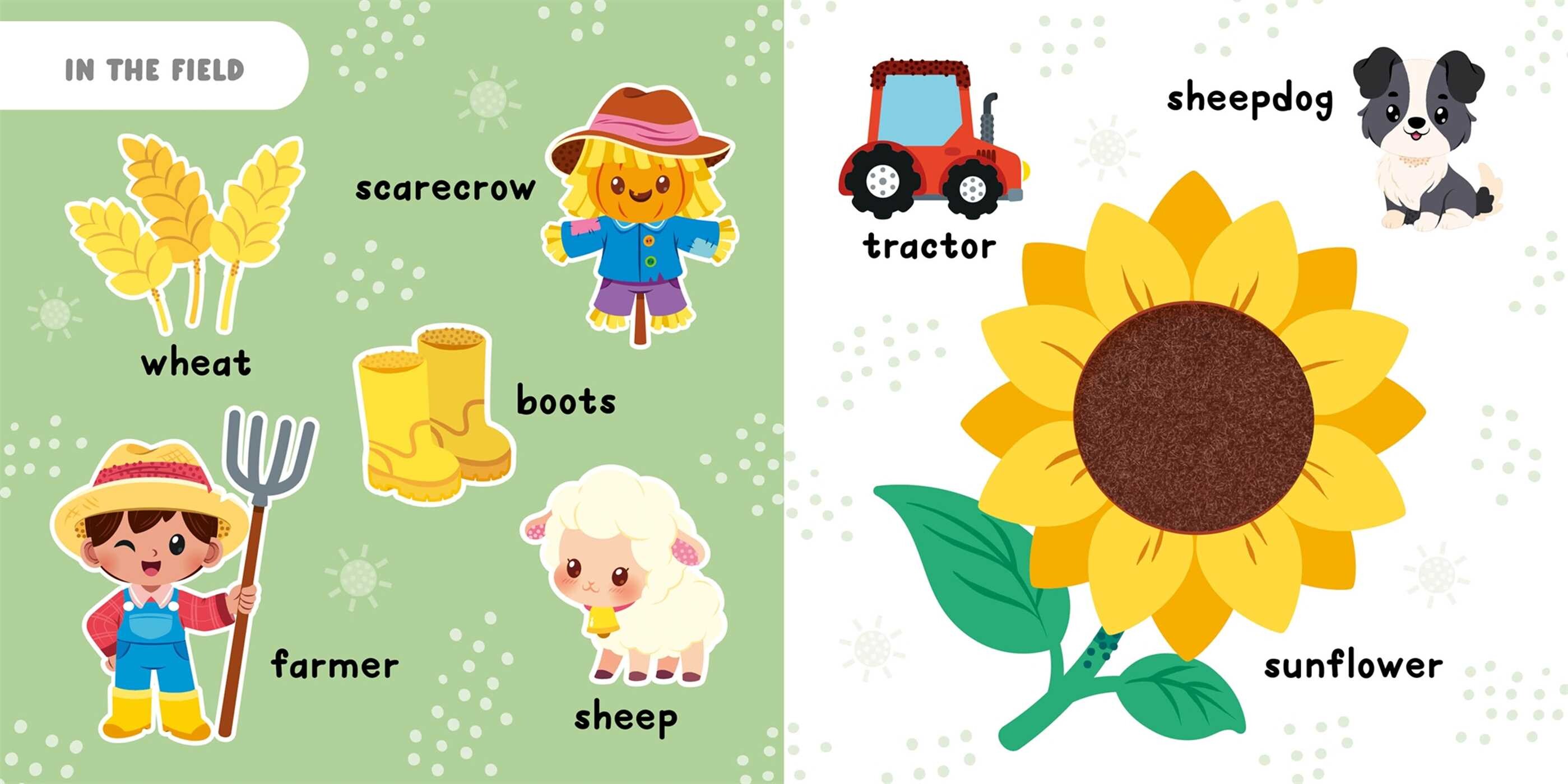 Touch & Feel On the Farm