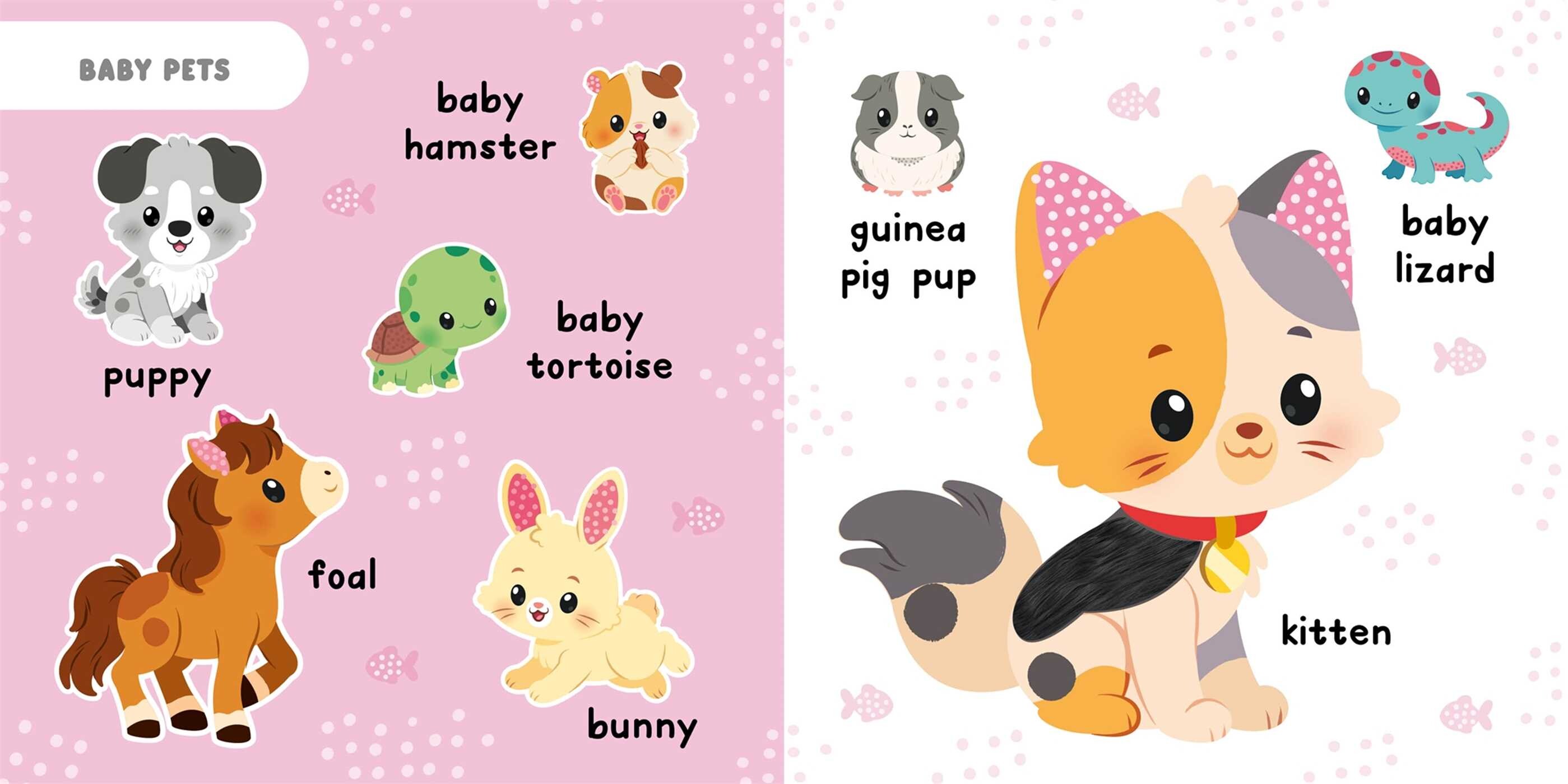 Touch & Feel Baby Animals