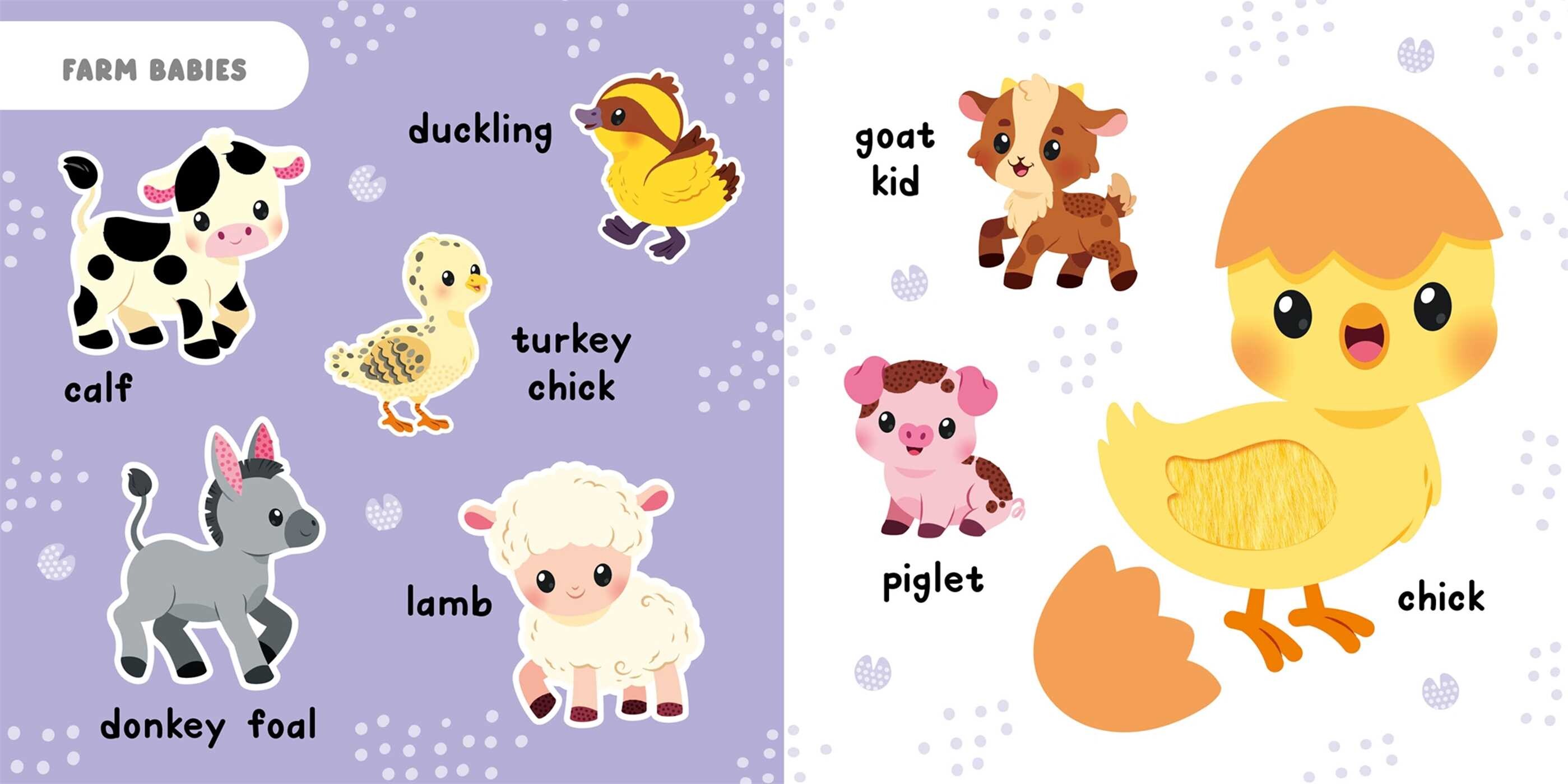 Touch & Feel Baby Animals