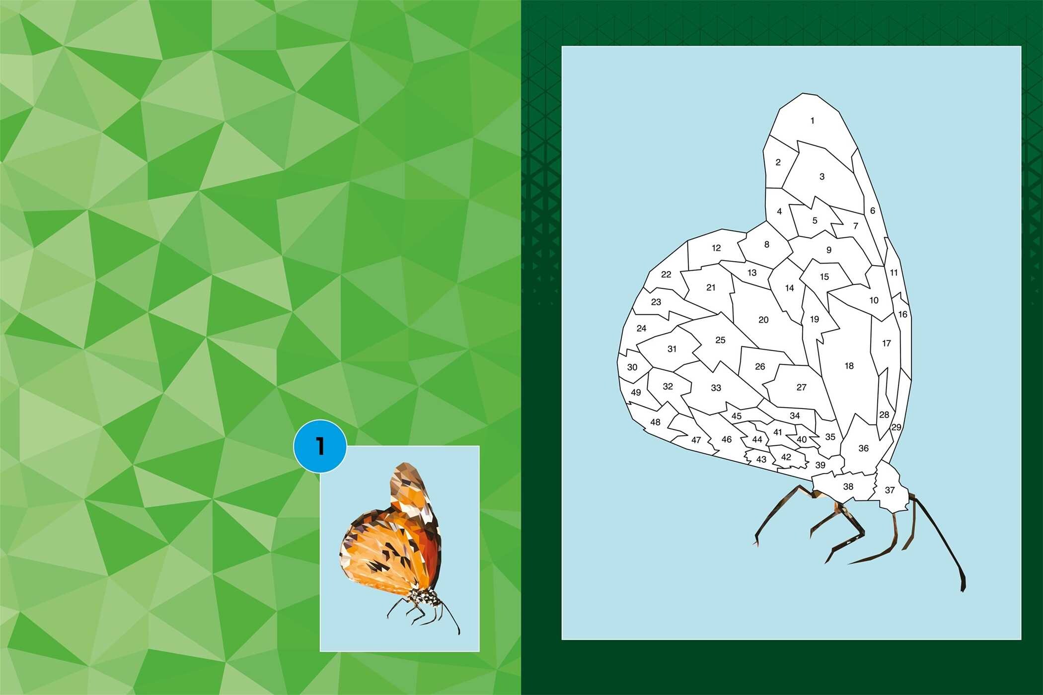 Sticker By Numbers: Natural World