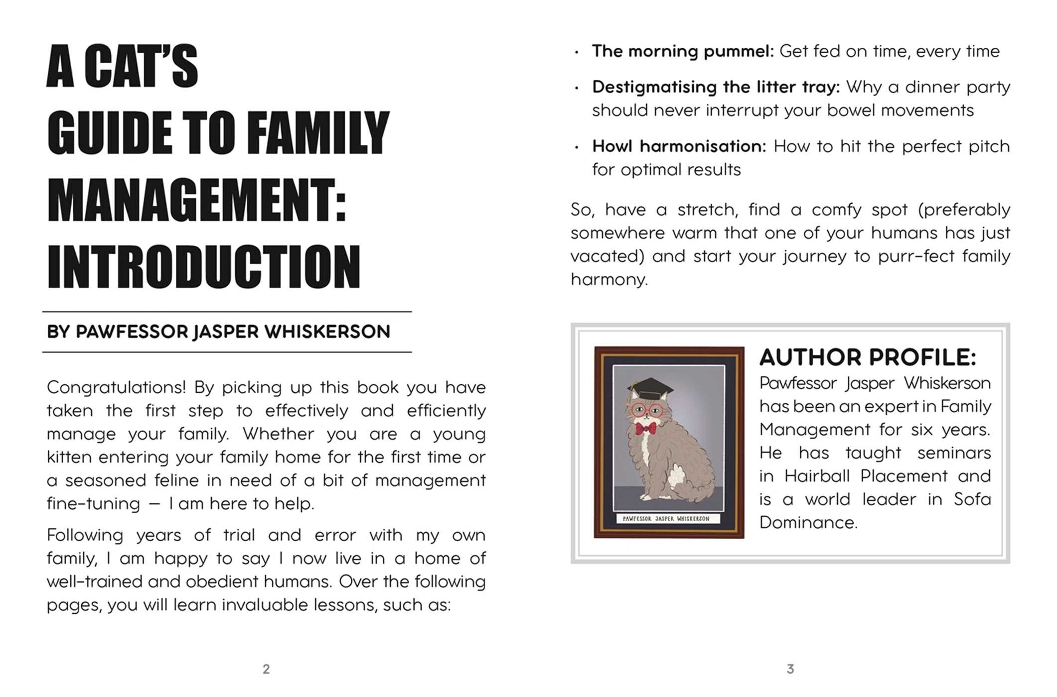 Cat's Guide to Family Management