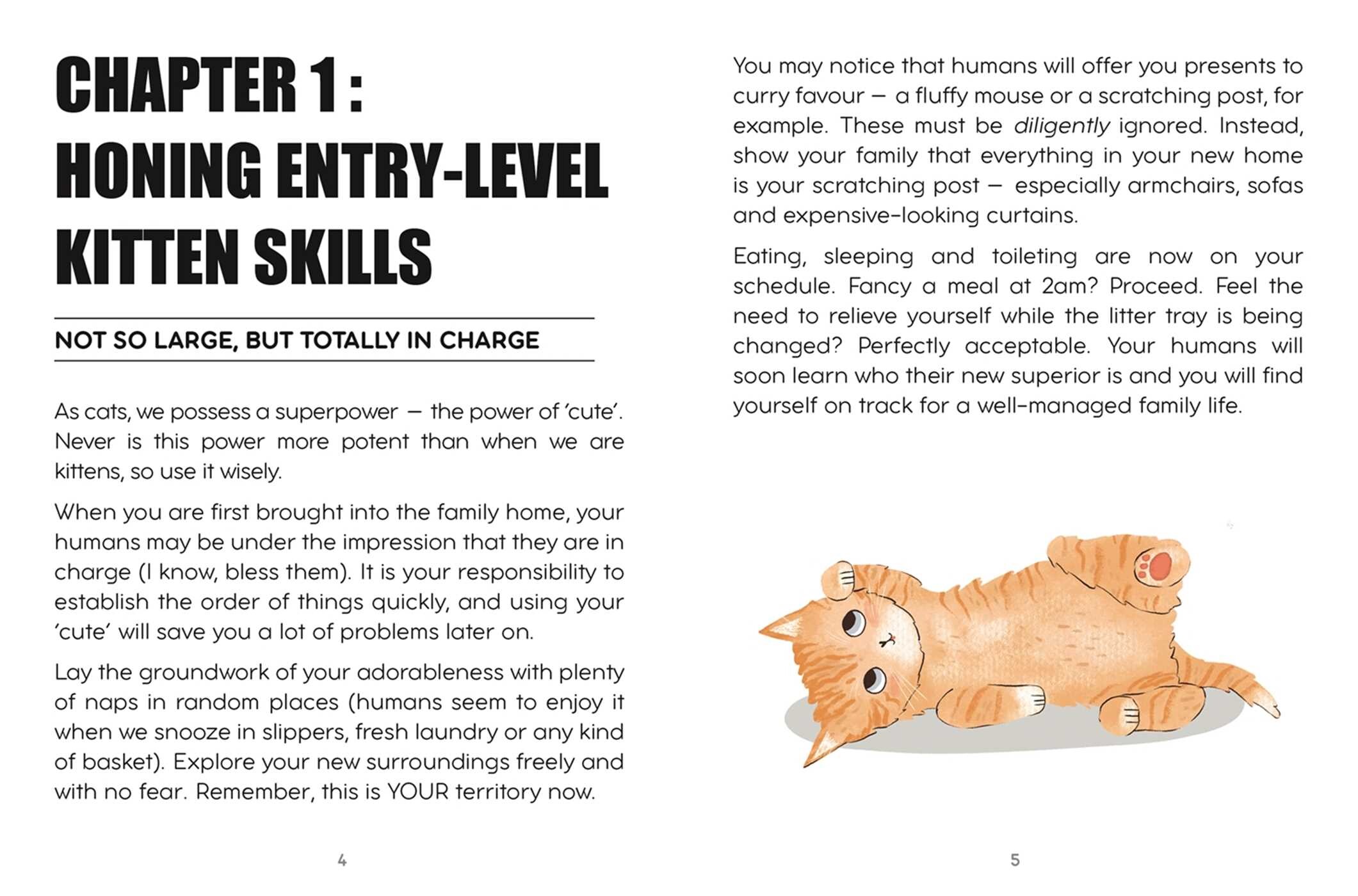Cat's Guide to Family Management