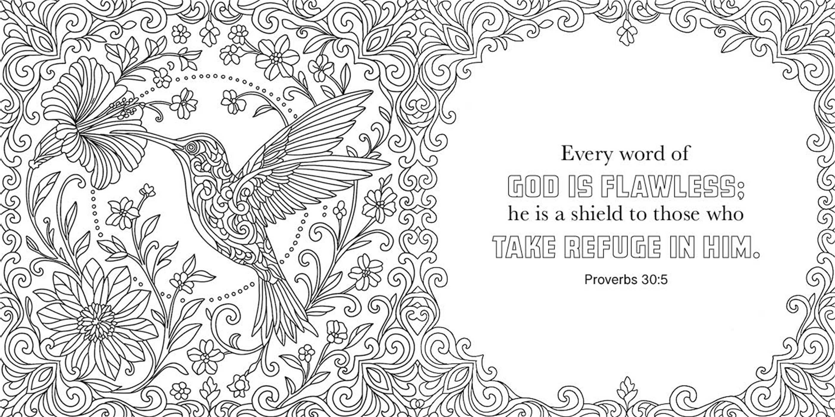 Color with Grace: Psalms & Proverbs