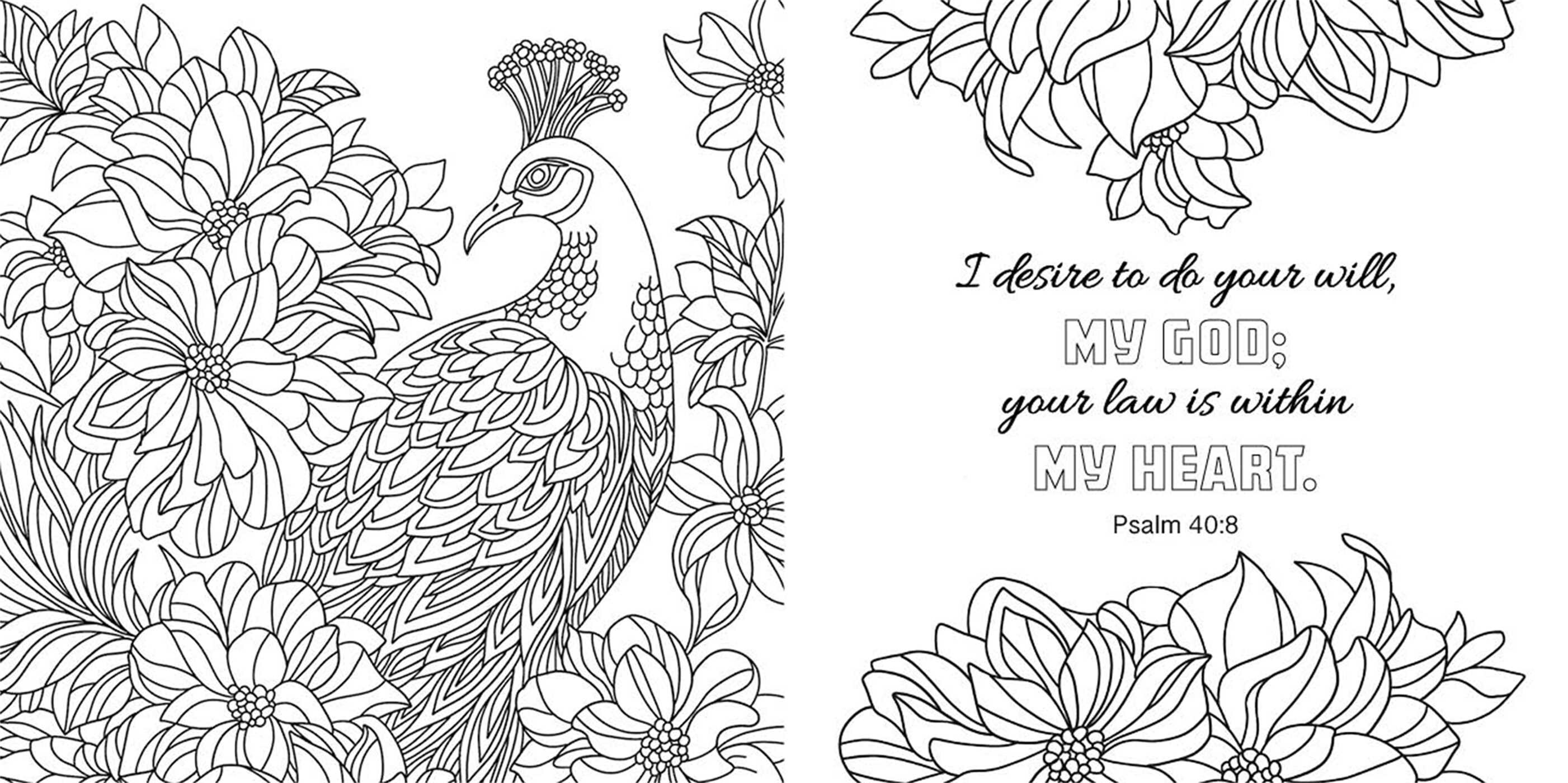 Color with Grace: Psalms & Proverbs