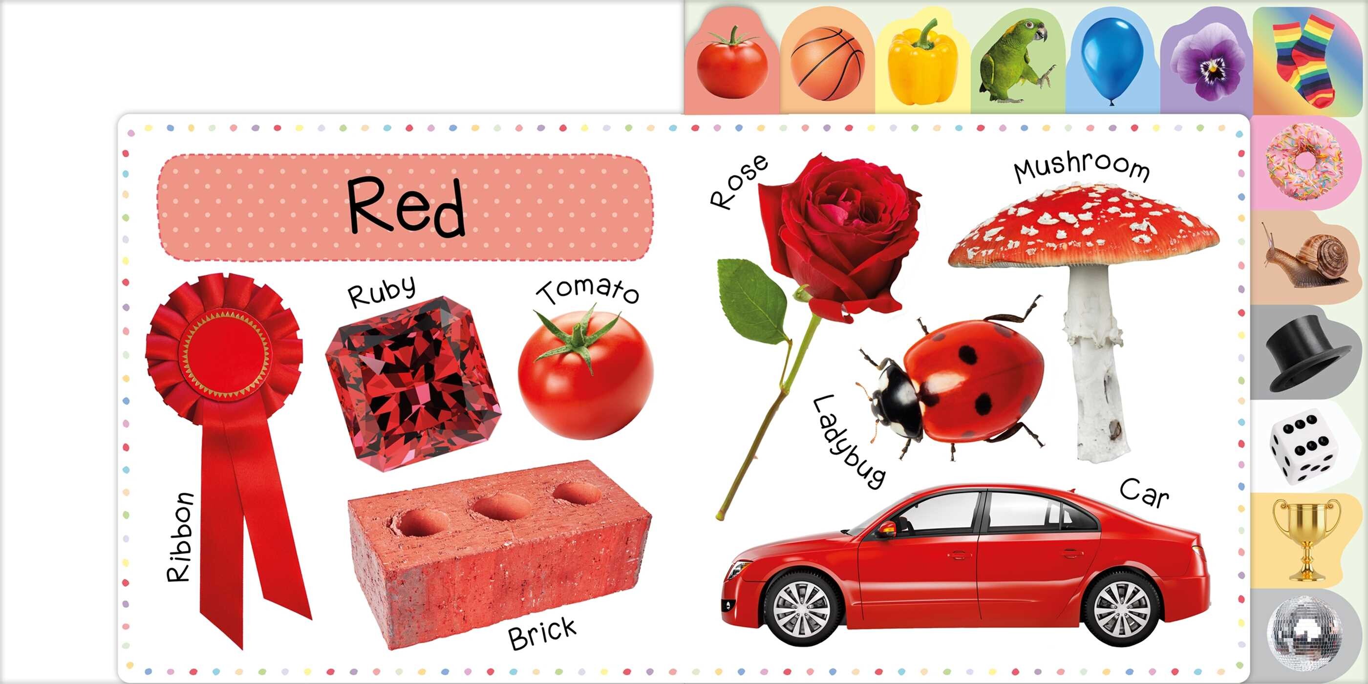 First 100 Words By Color