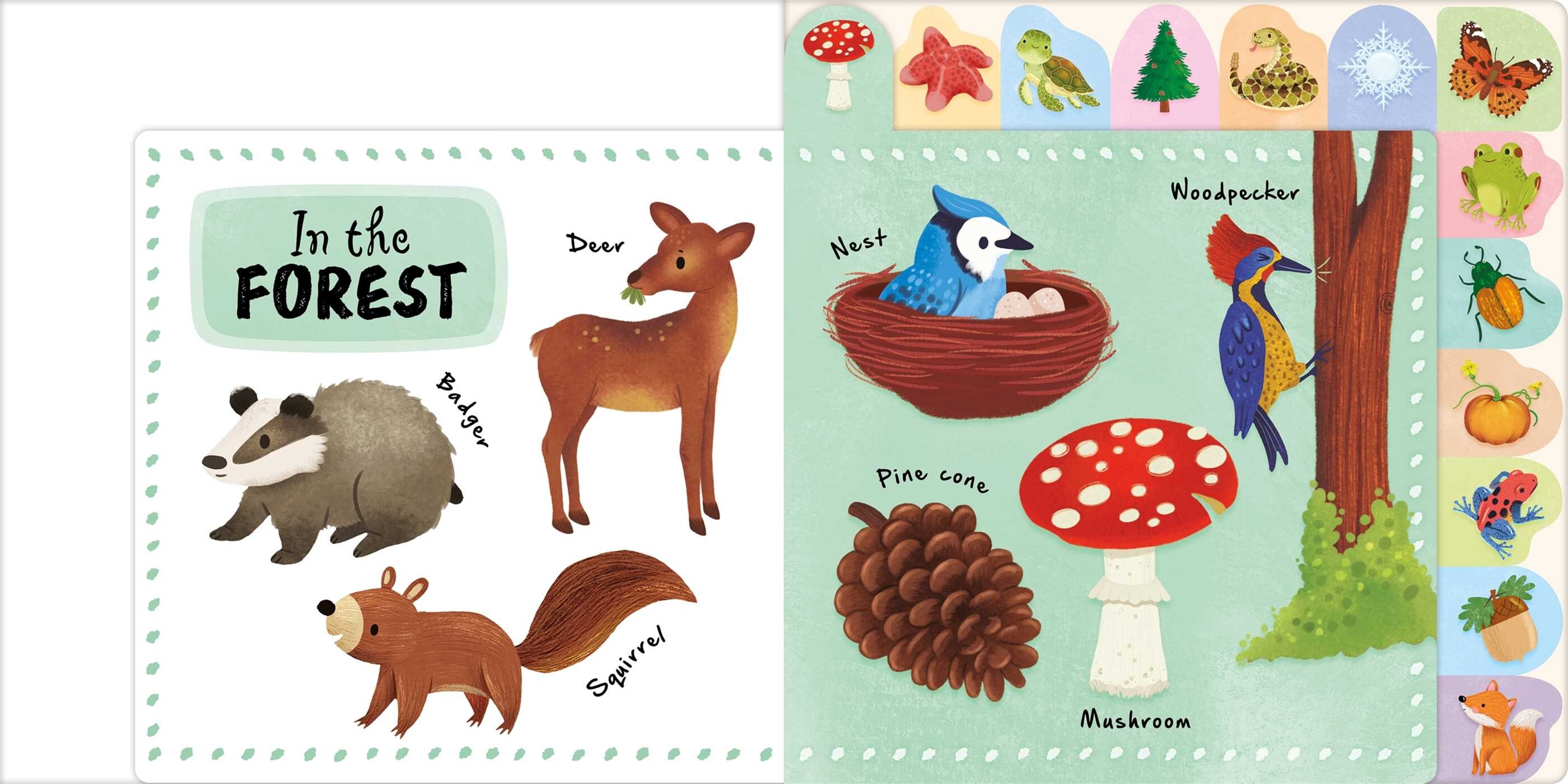 First 100 Nature Words