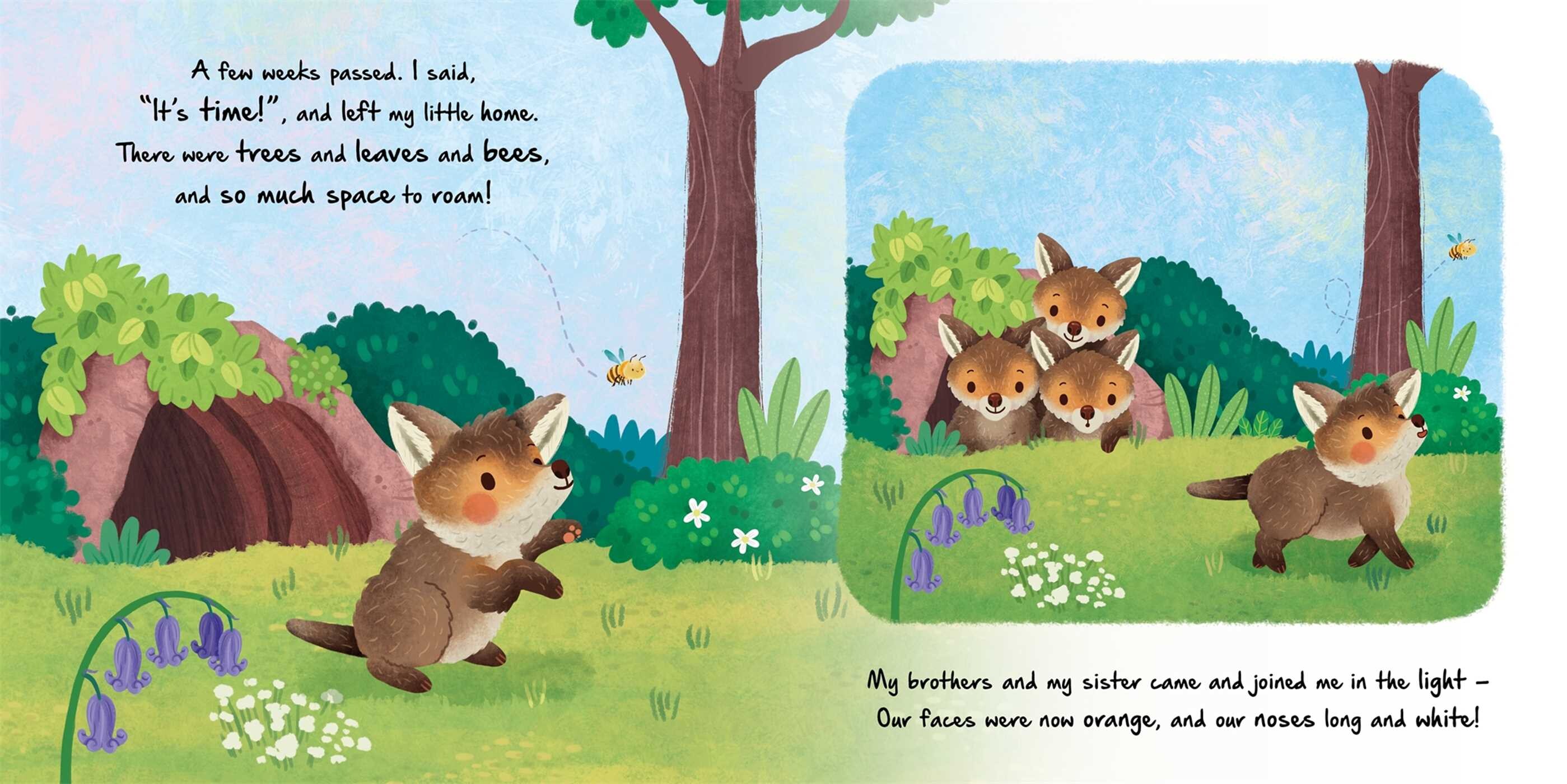 Nature Stories: Little Fox