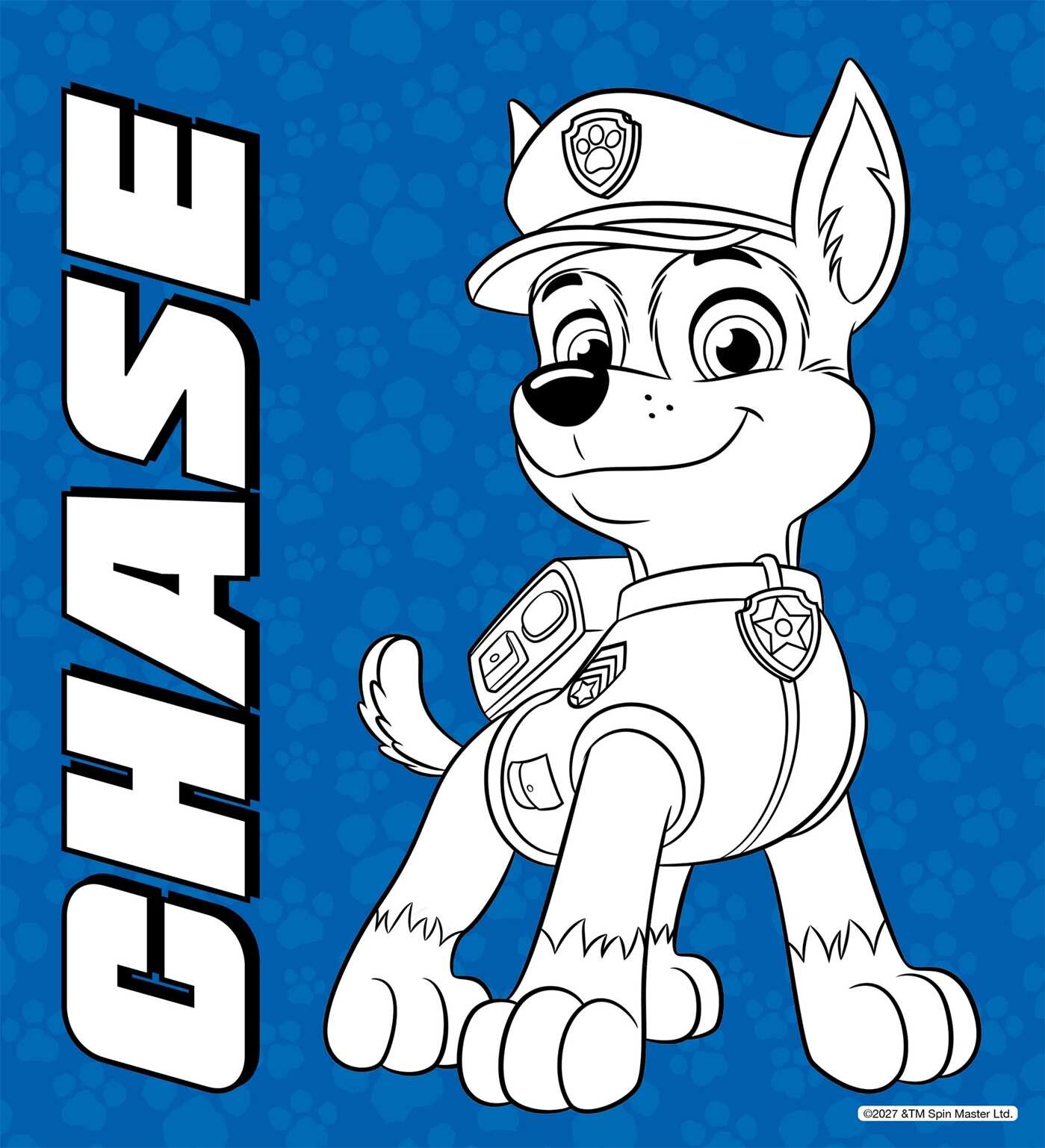PAW Patrol: Sponge Art Book & Paint Set