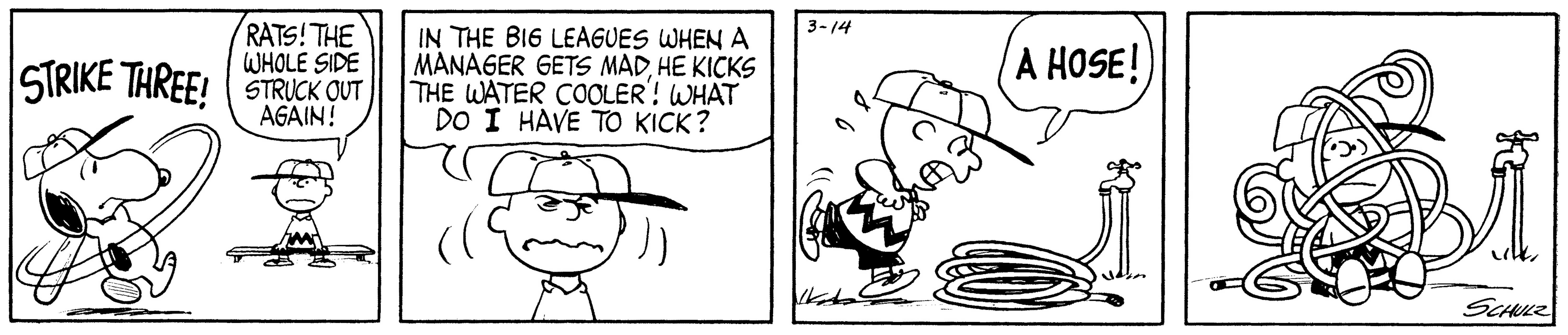 Peanuts: Your Choice, Snoopy