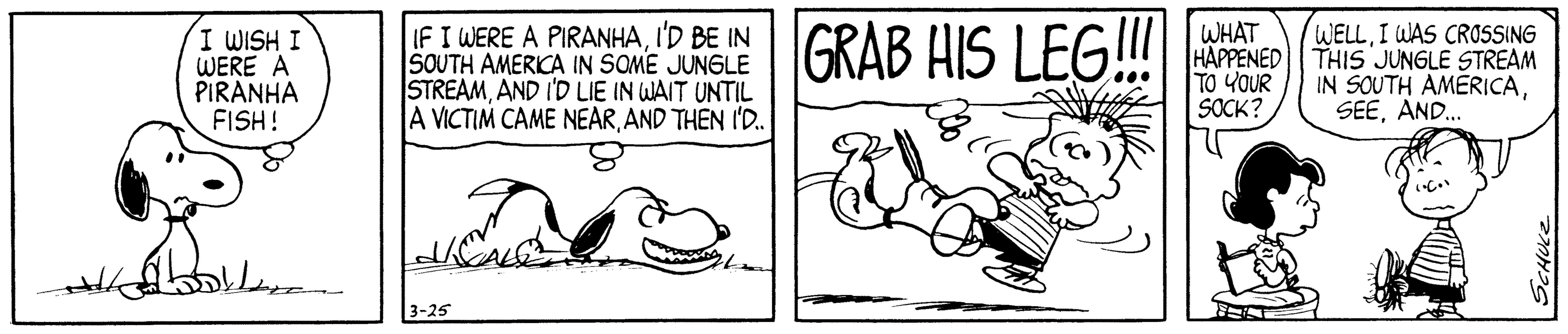 Peanuts: Your Choice, Snoopy