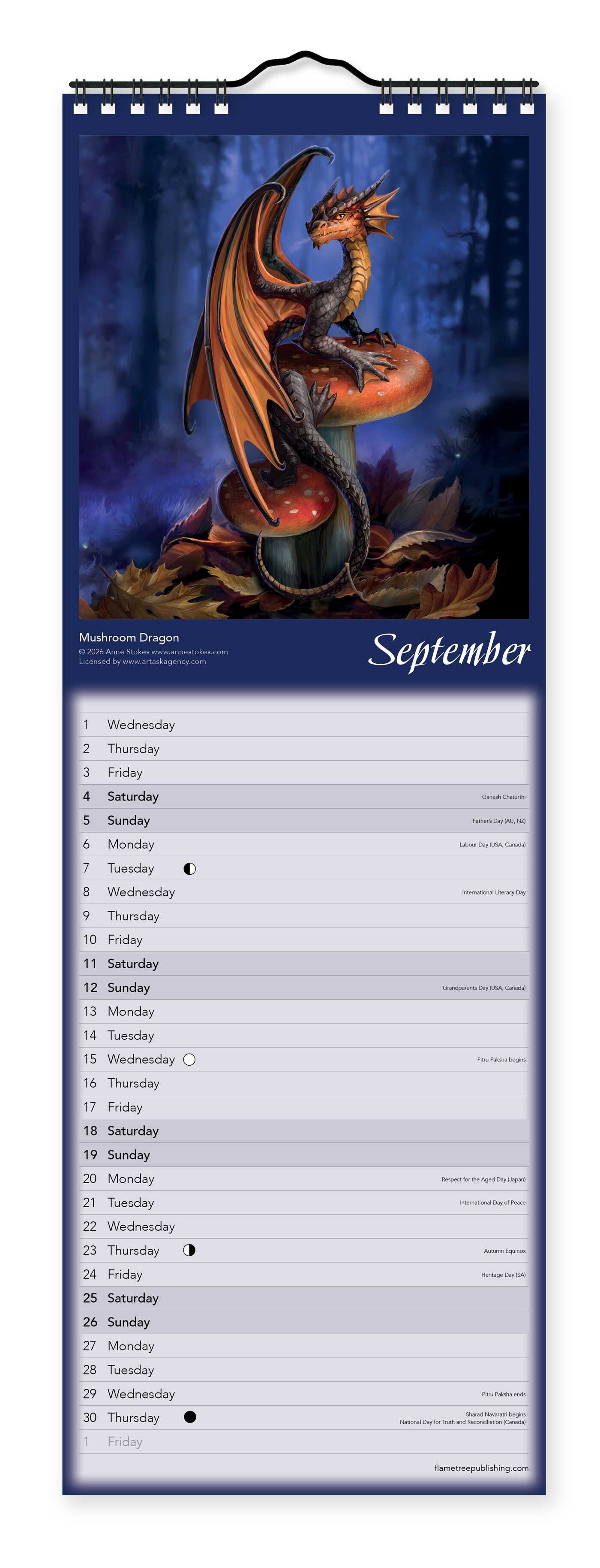 Anne Stokes Slim Calendar 2027 (Art Calendar)