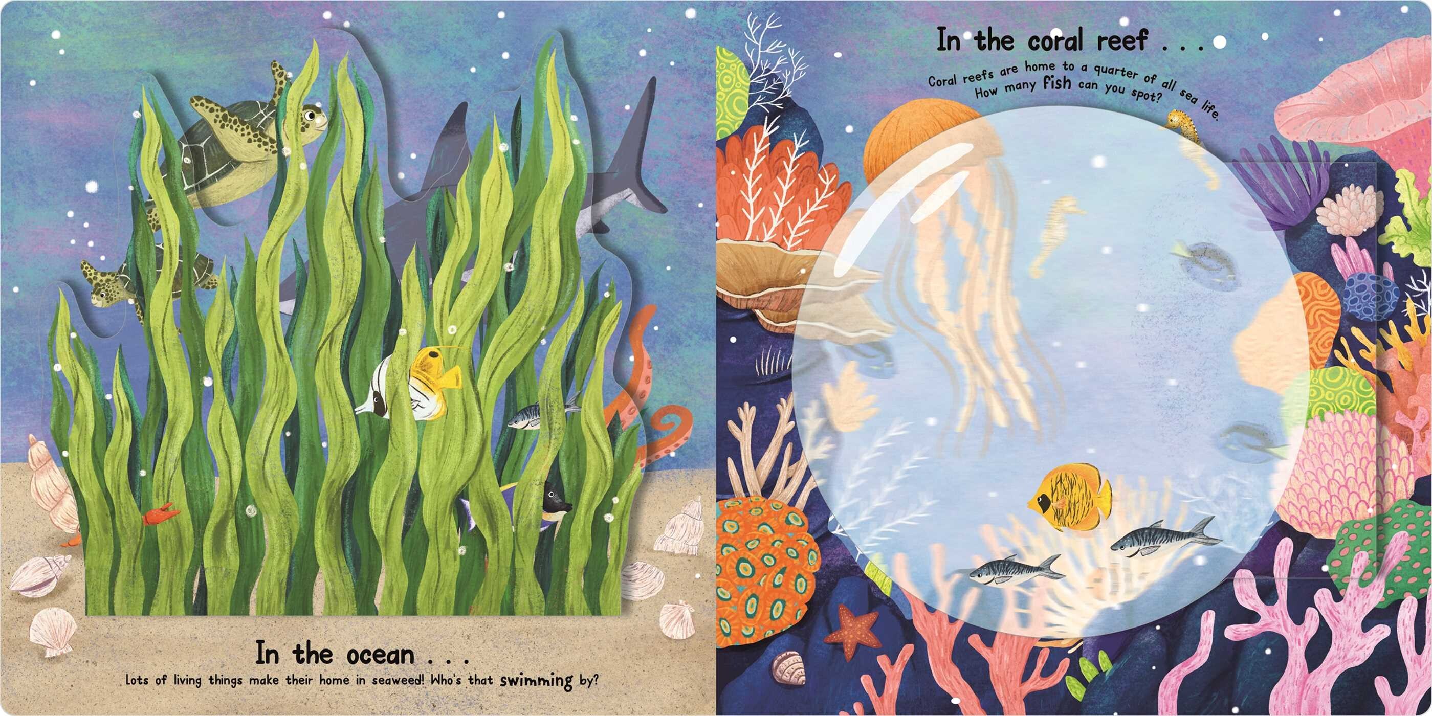 Lift to Learn: Animal Homes