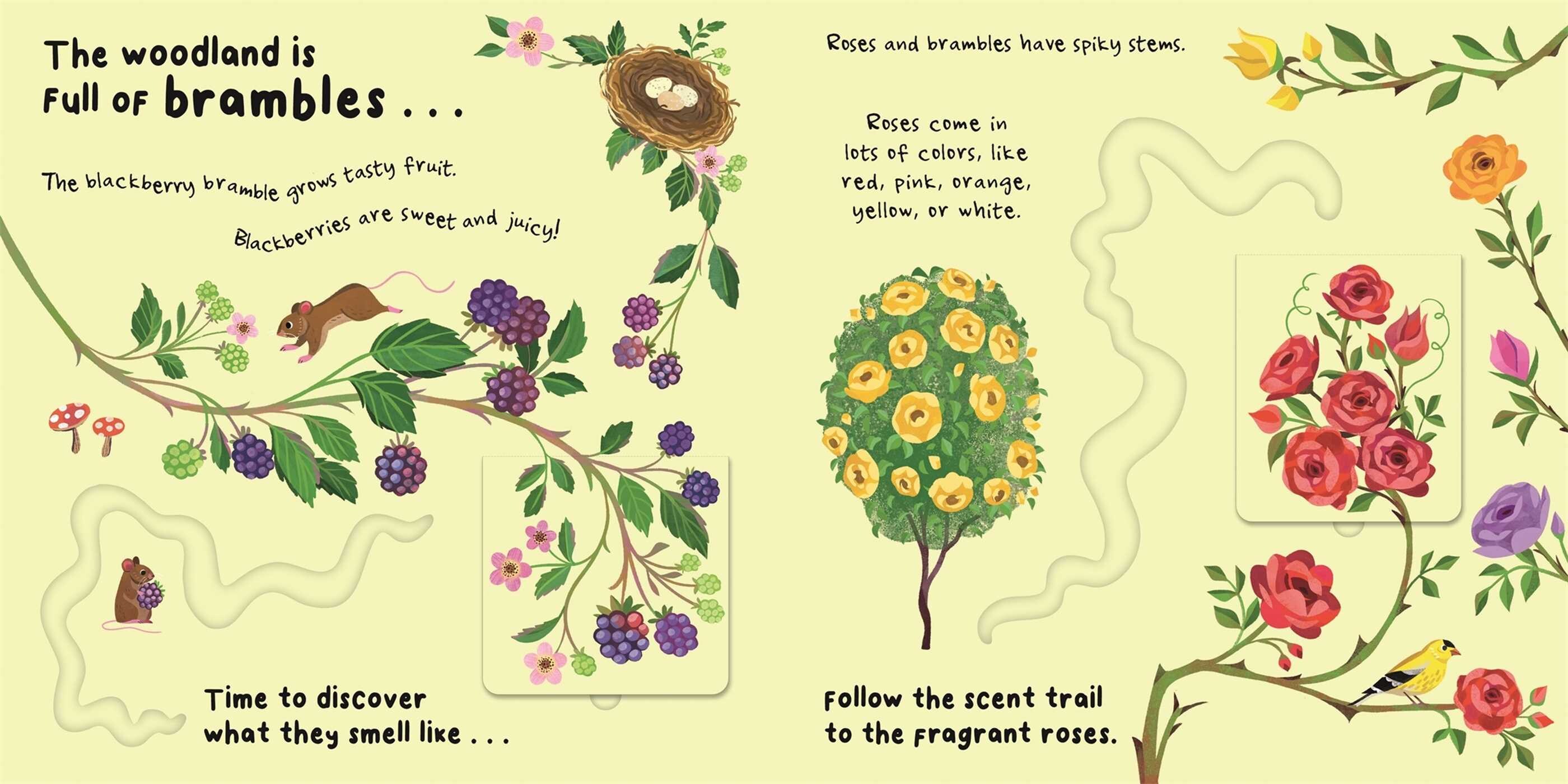 What's that Smell? Nature