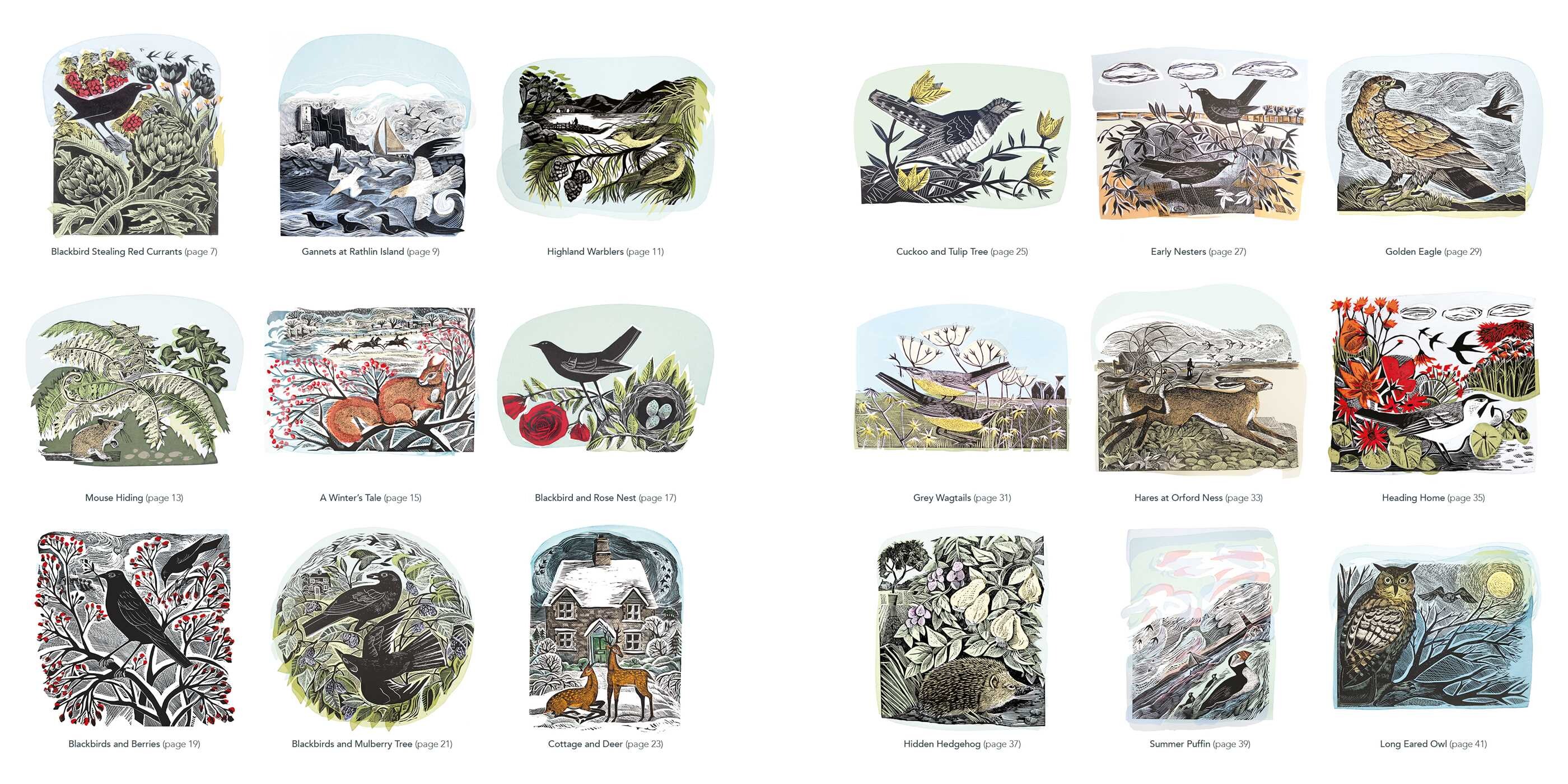 Wildlife (Angela Harding) Colouring Book