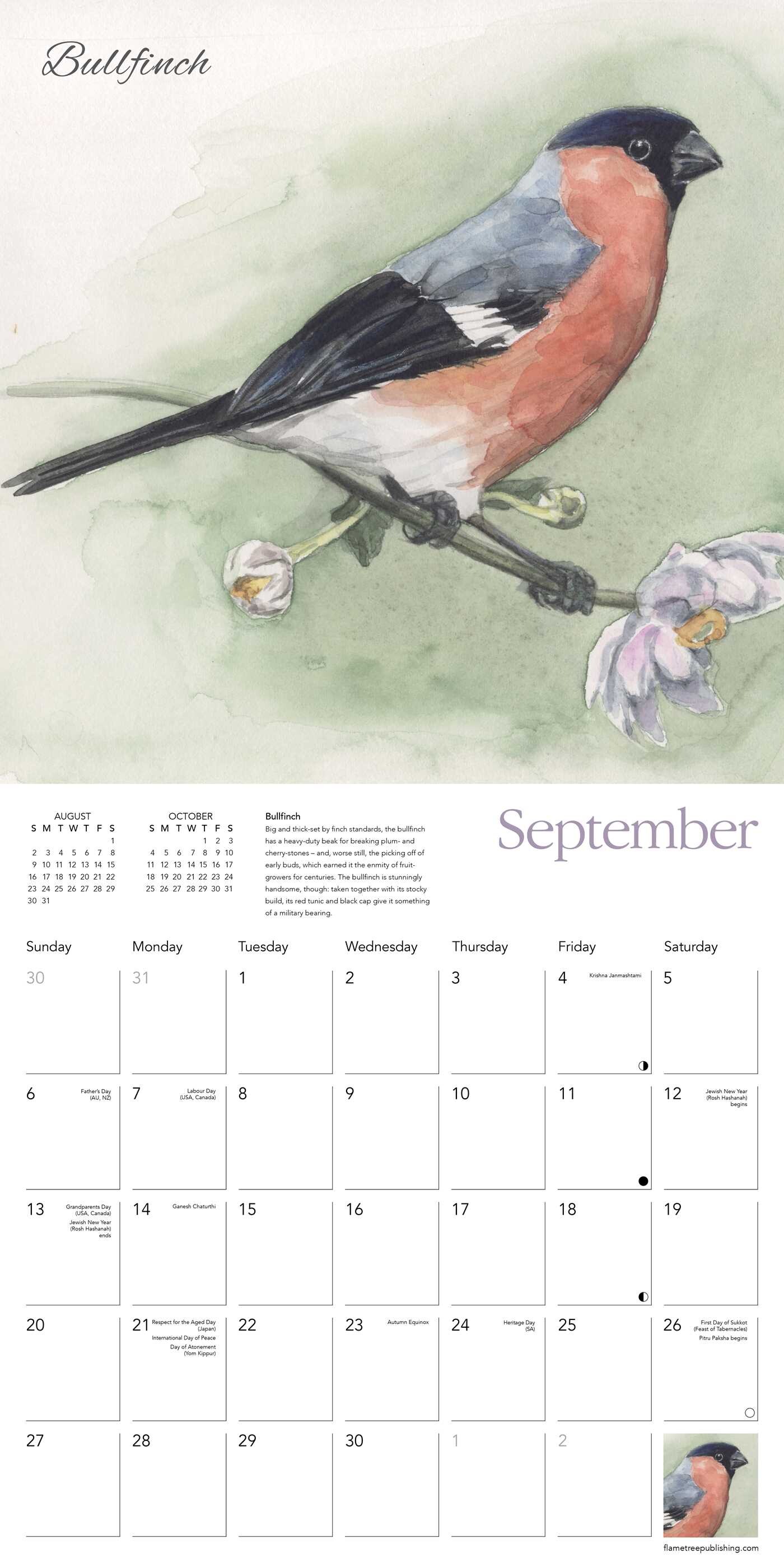 Garden Birds Calendar 2024 Square Birds Wall Calendar - 16 Month