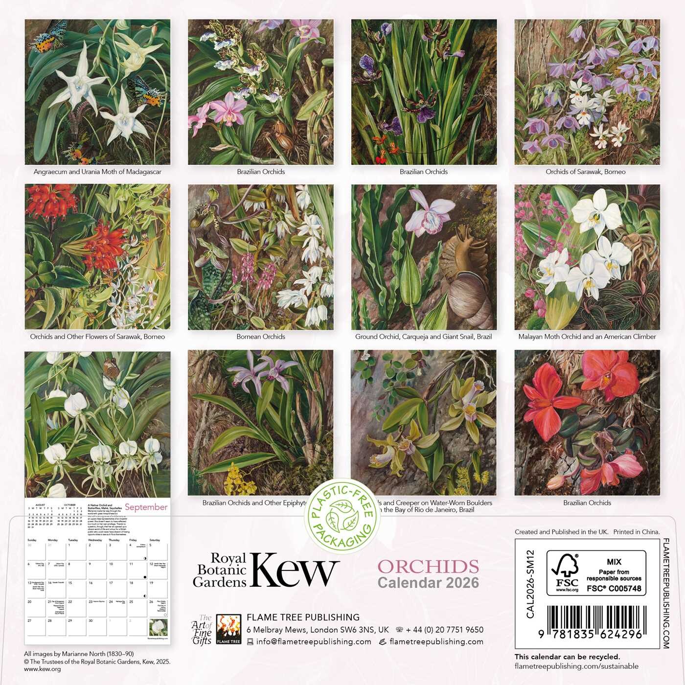 Kew Gardens Orchids by Marianne North Mini Wall Calendar 2026 (Art