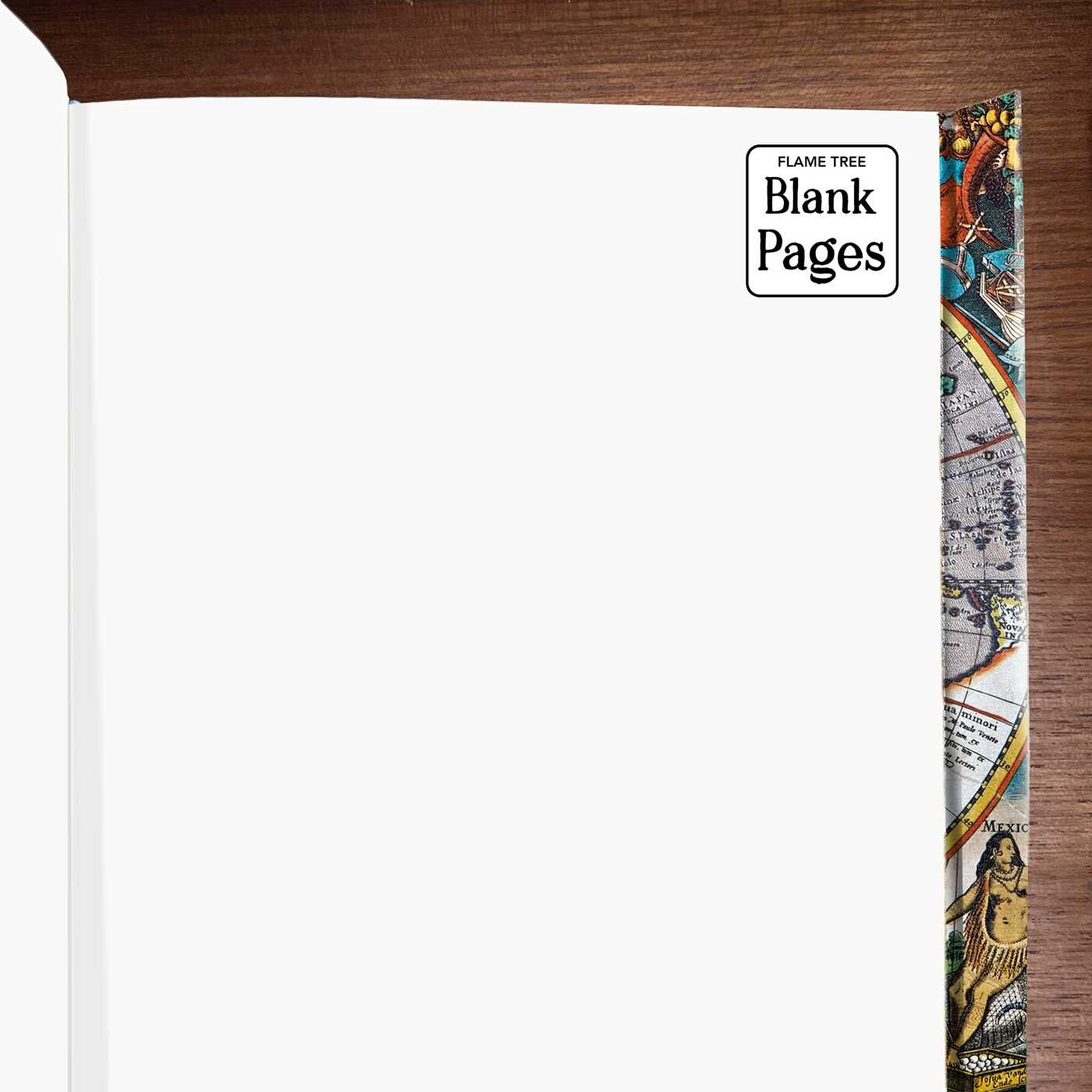 Antique Map (Foiled Blank Journal)
