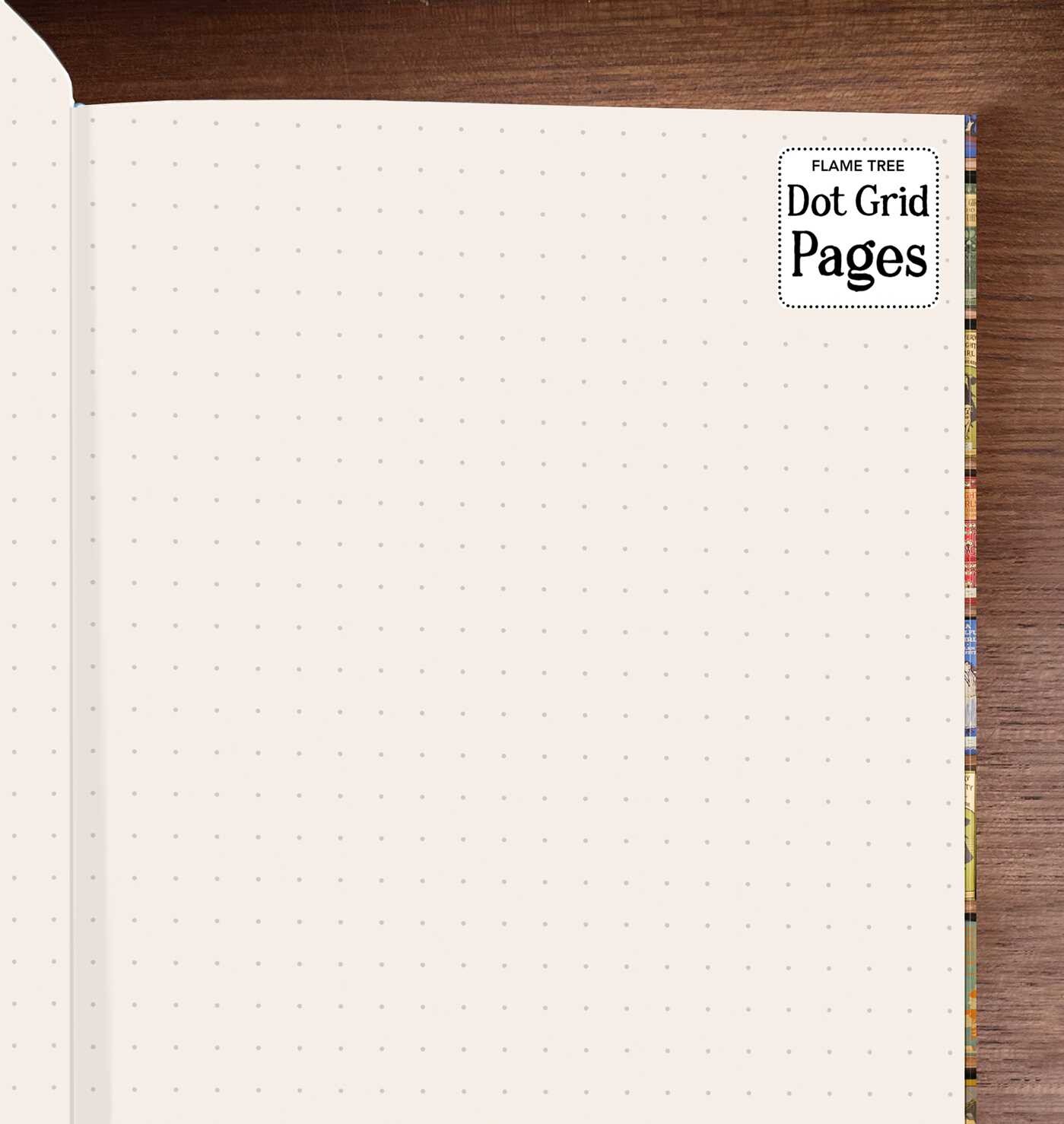 Bodleian Libraries: High Jinks Bookshelves (Foiled Dot Grid Journal)