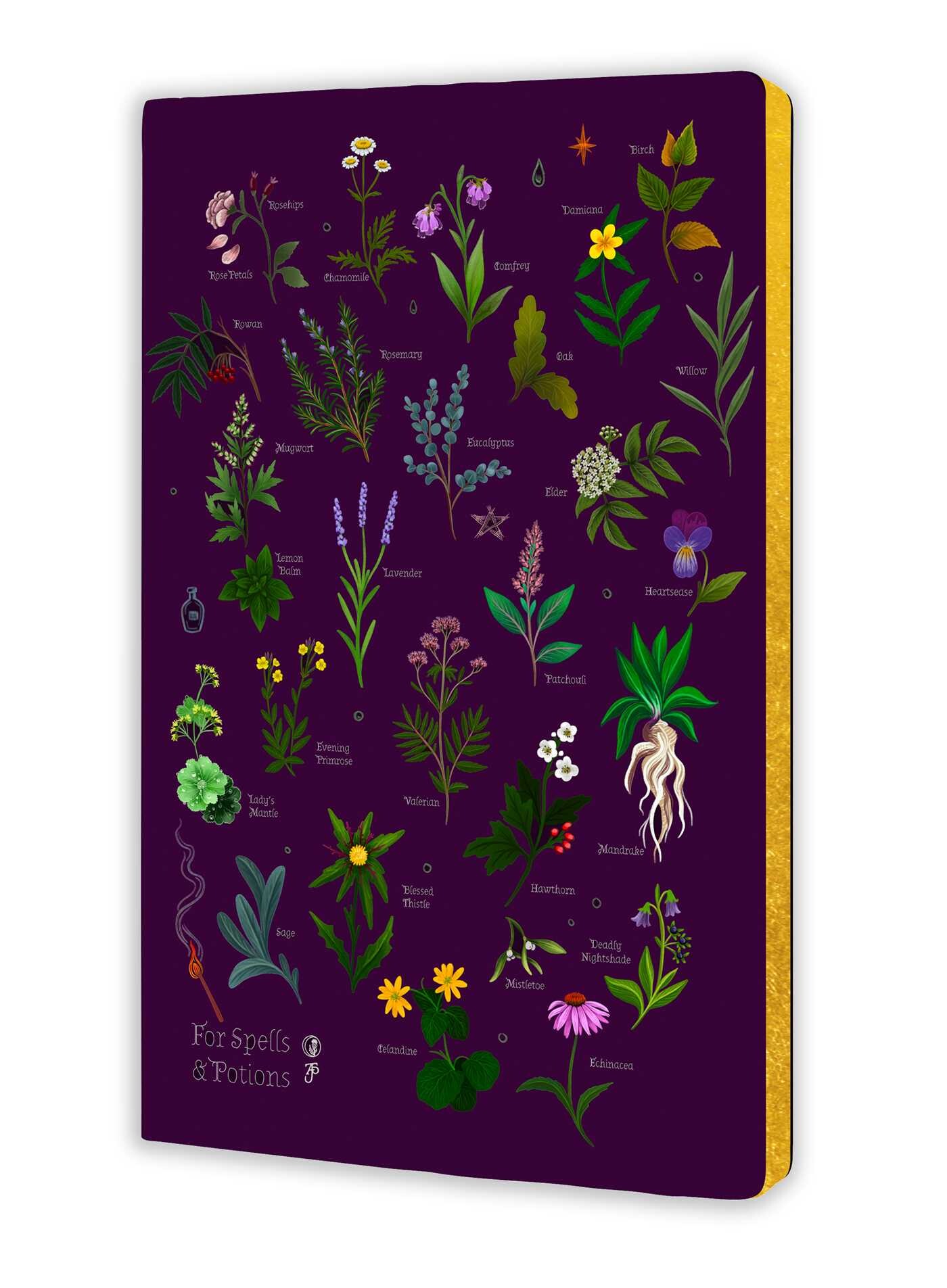 Anna Stead: For Spells & Potions (Soft Touch Journal)