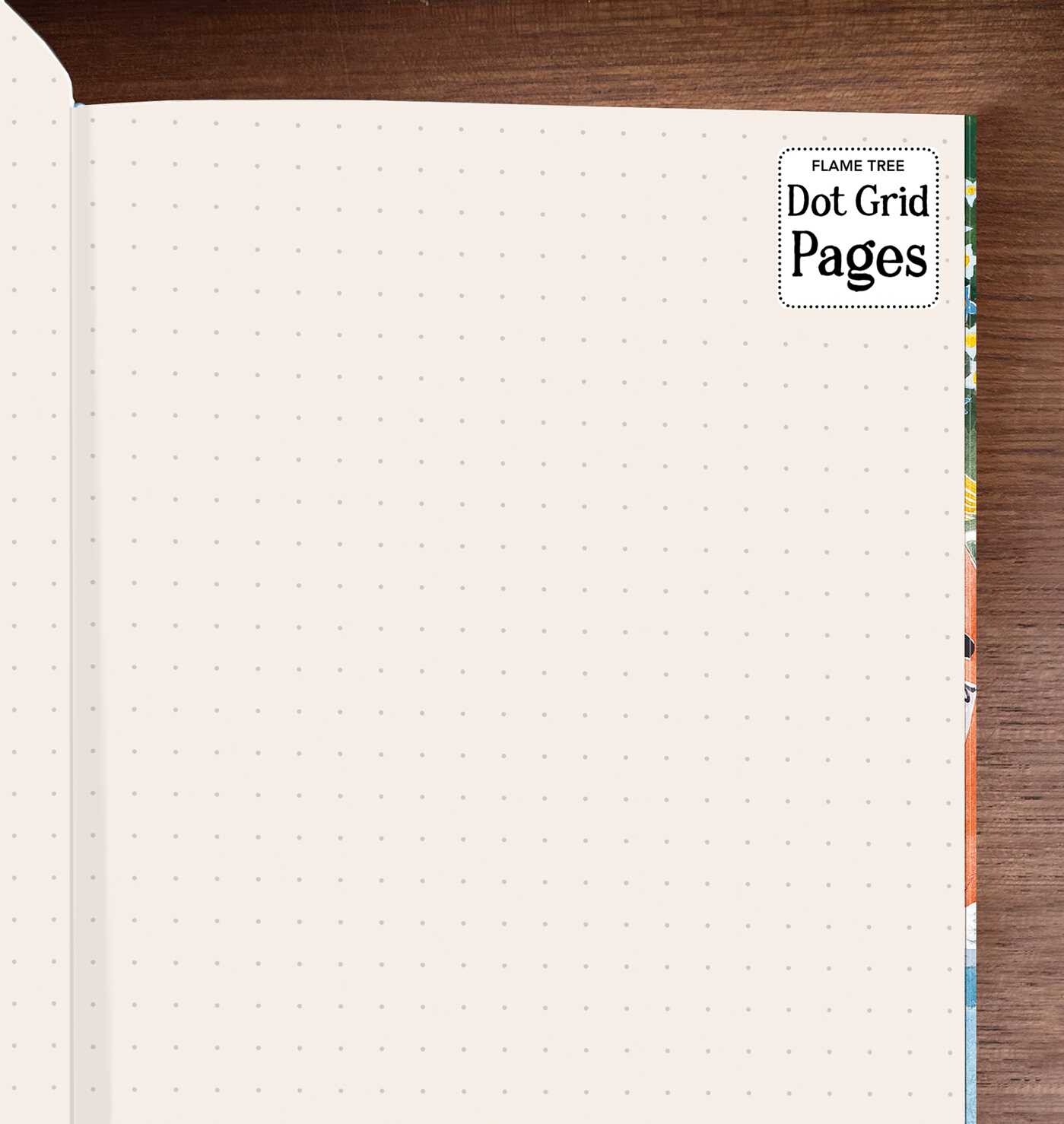 Moomin: Dangerous Journey (Foiled Dot Grid Journal)