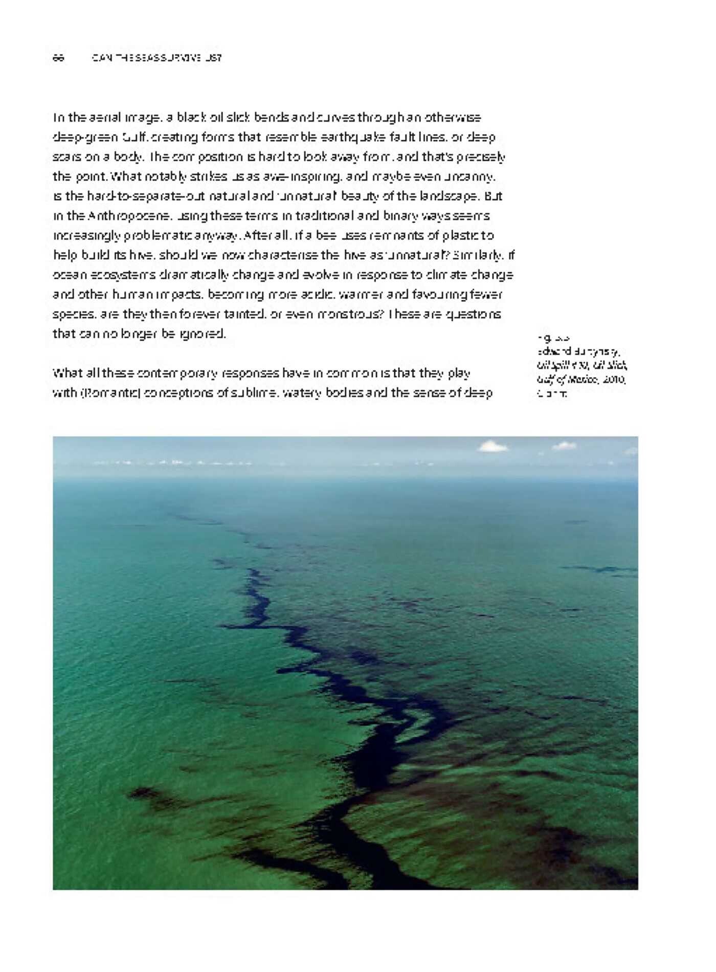 Can the Seas Survive Us?