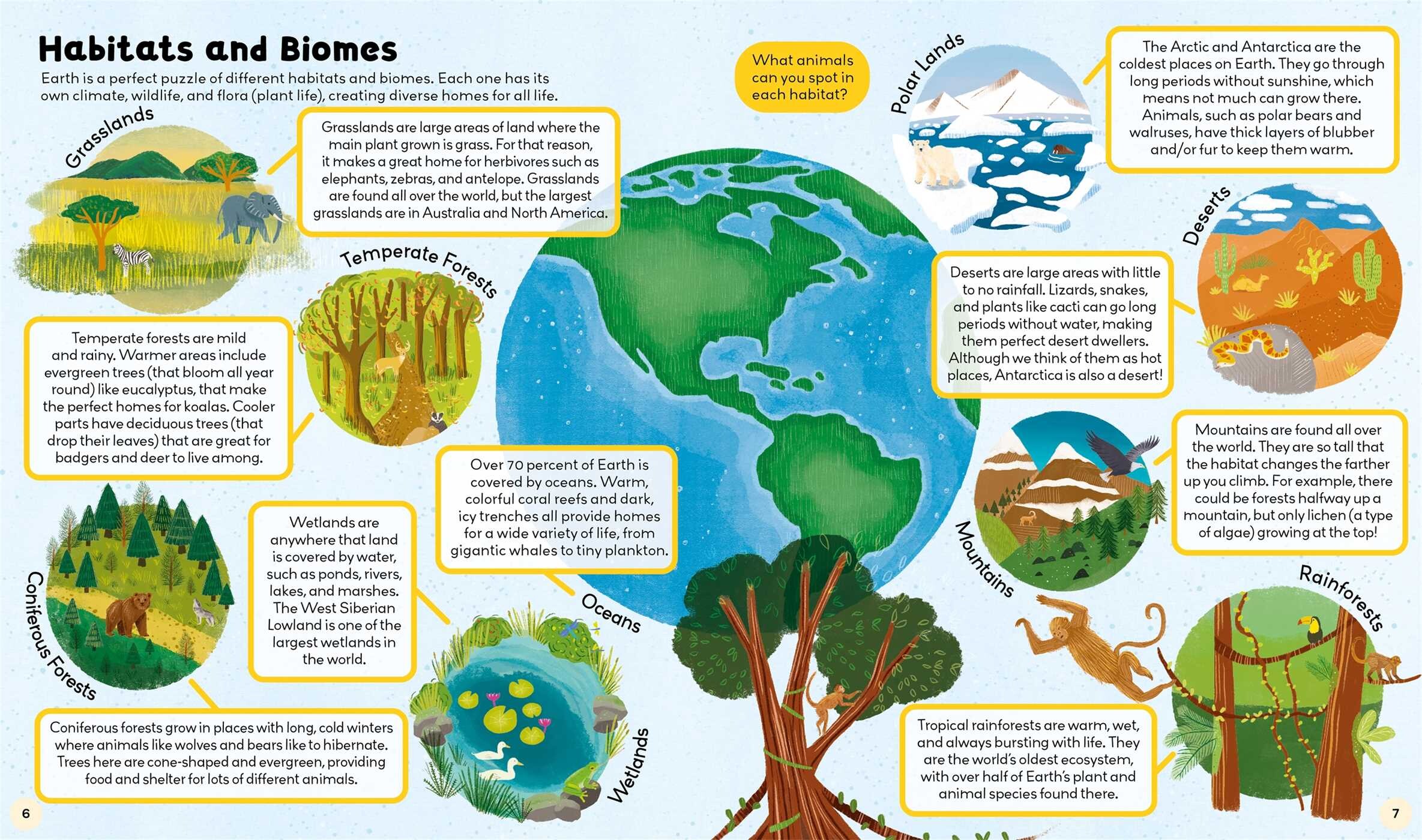 Curiosity Club: Natural World