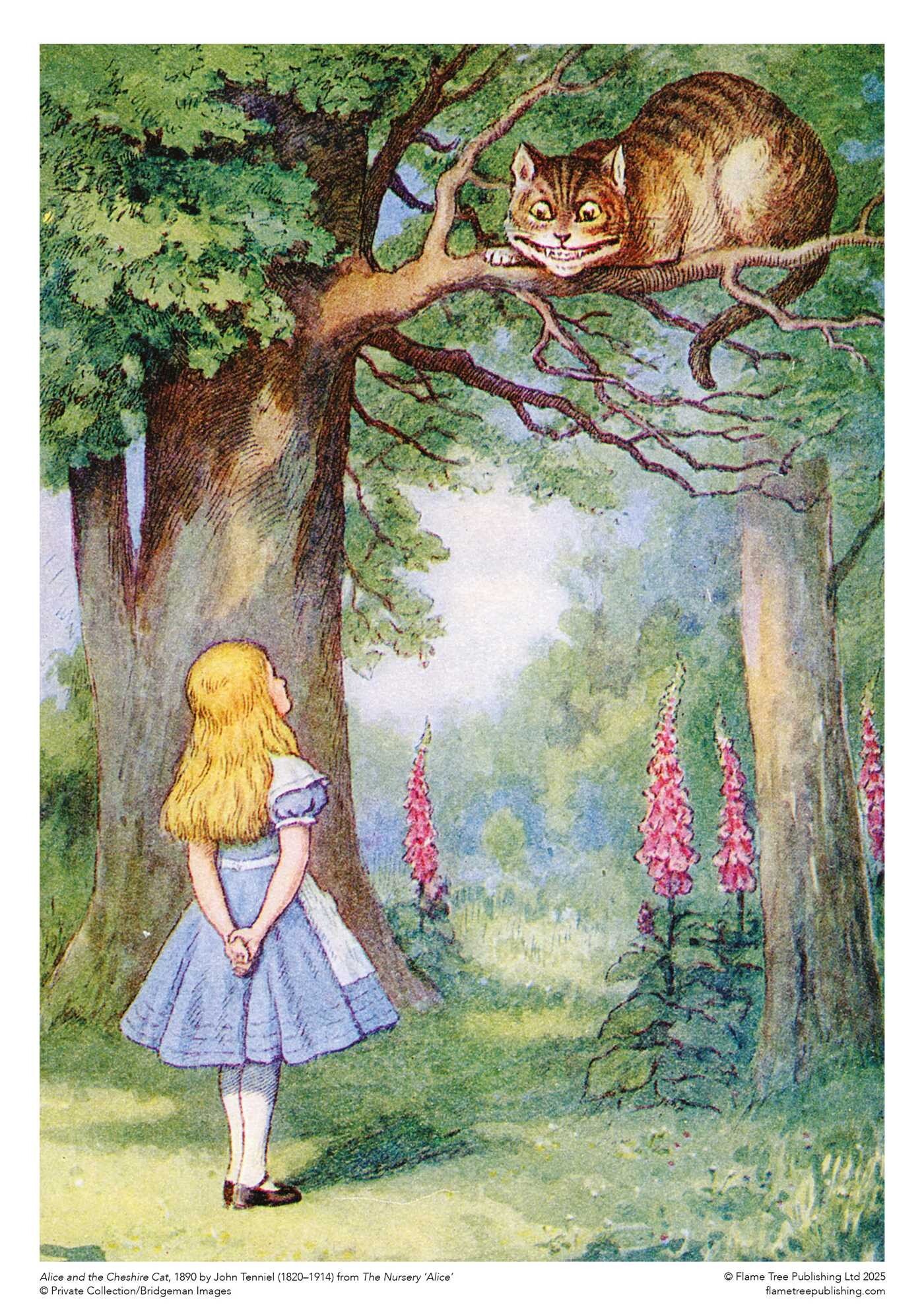 Adult Sustainable Jigsaw Puzzle Alice and the Cheshire Cat