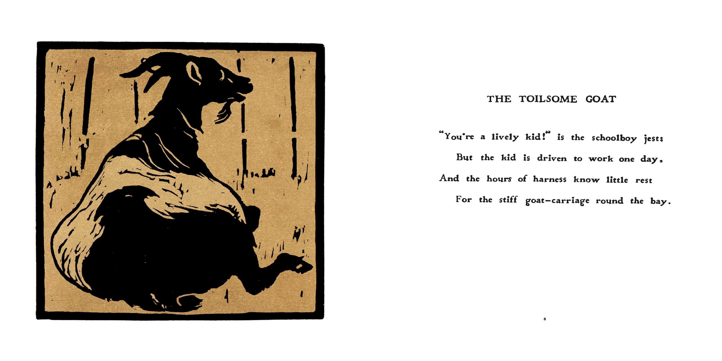 Square Book of Animals