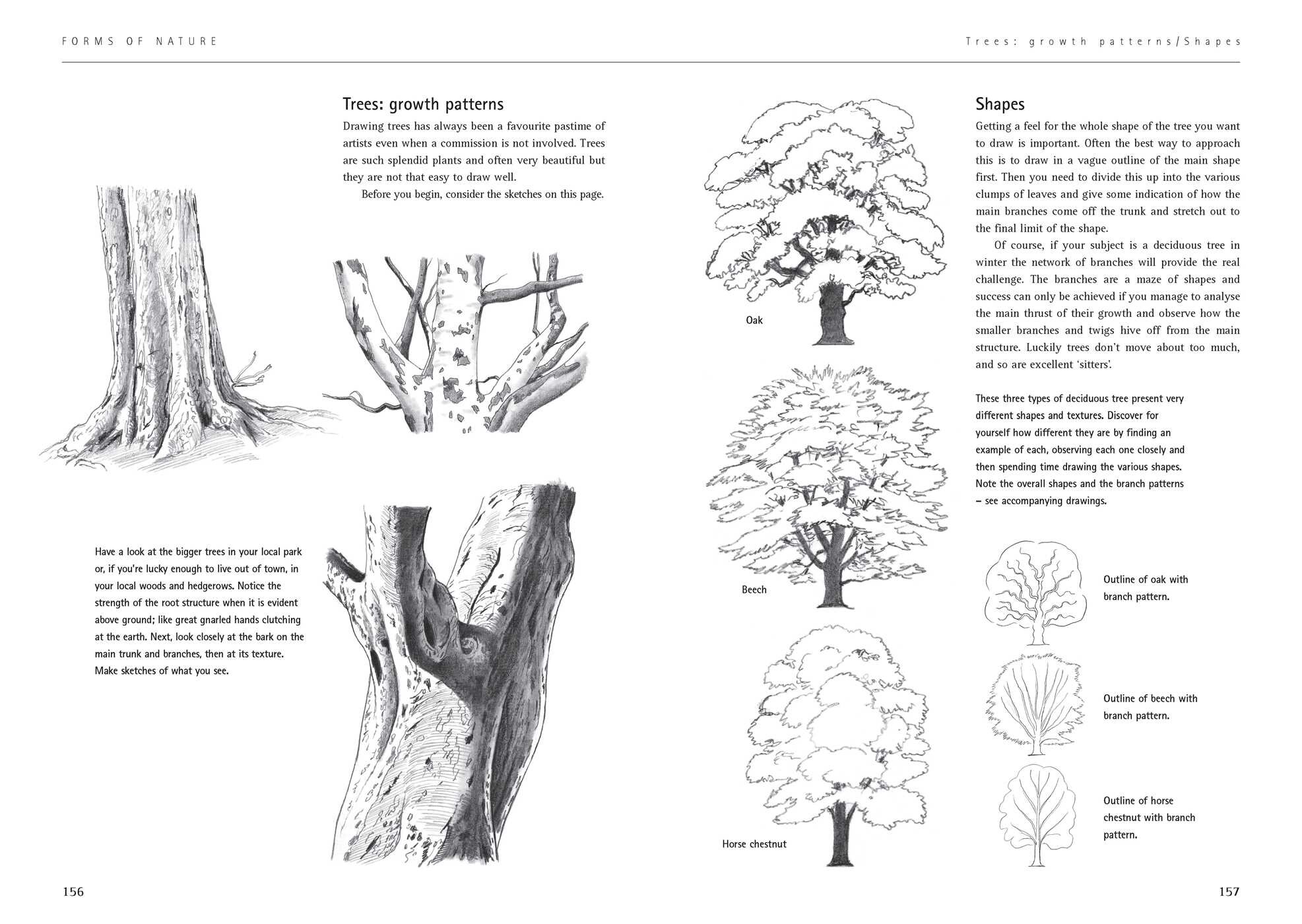 Complete Book of Drawing