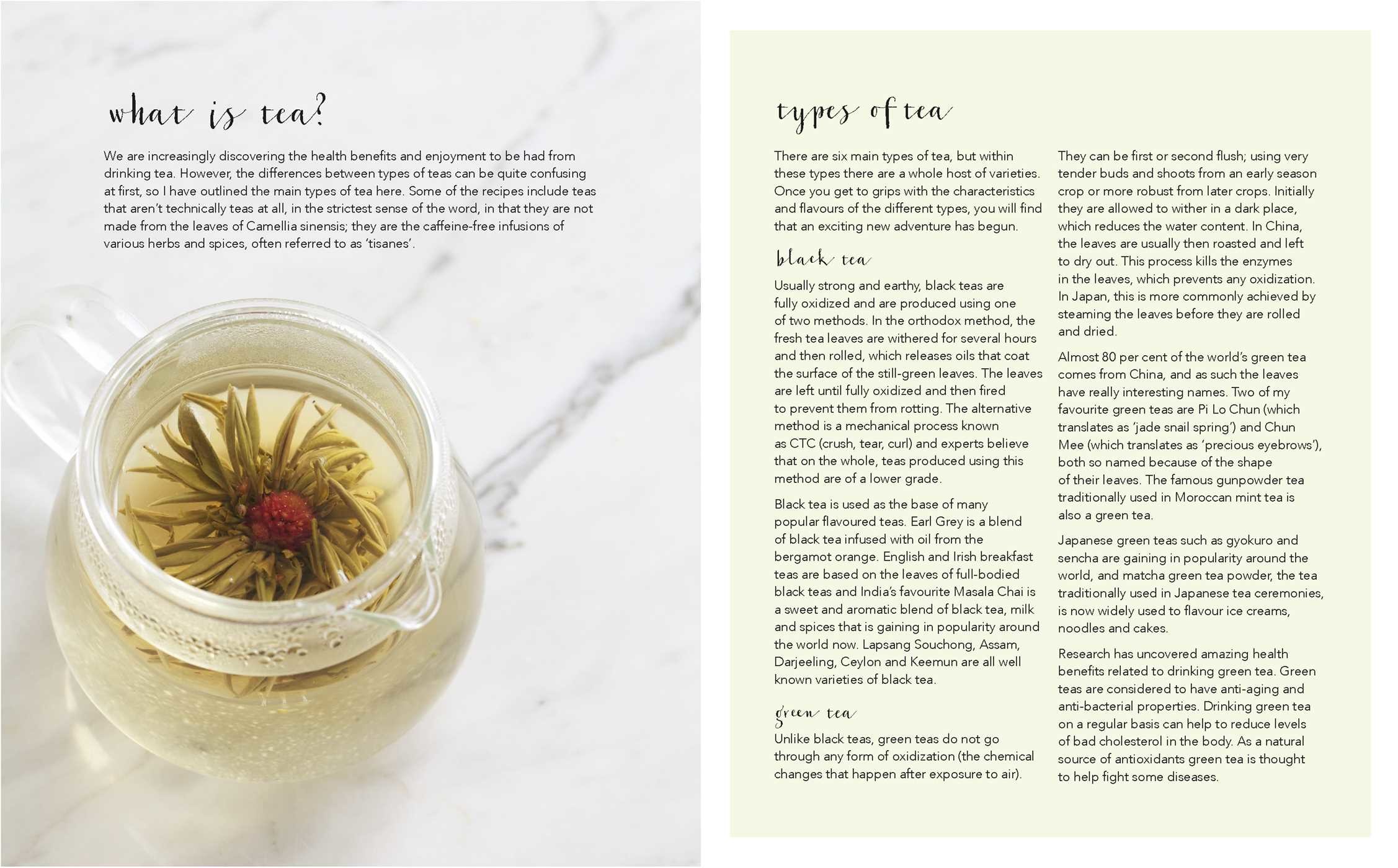 Easy Leaf Tea