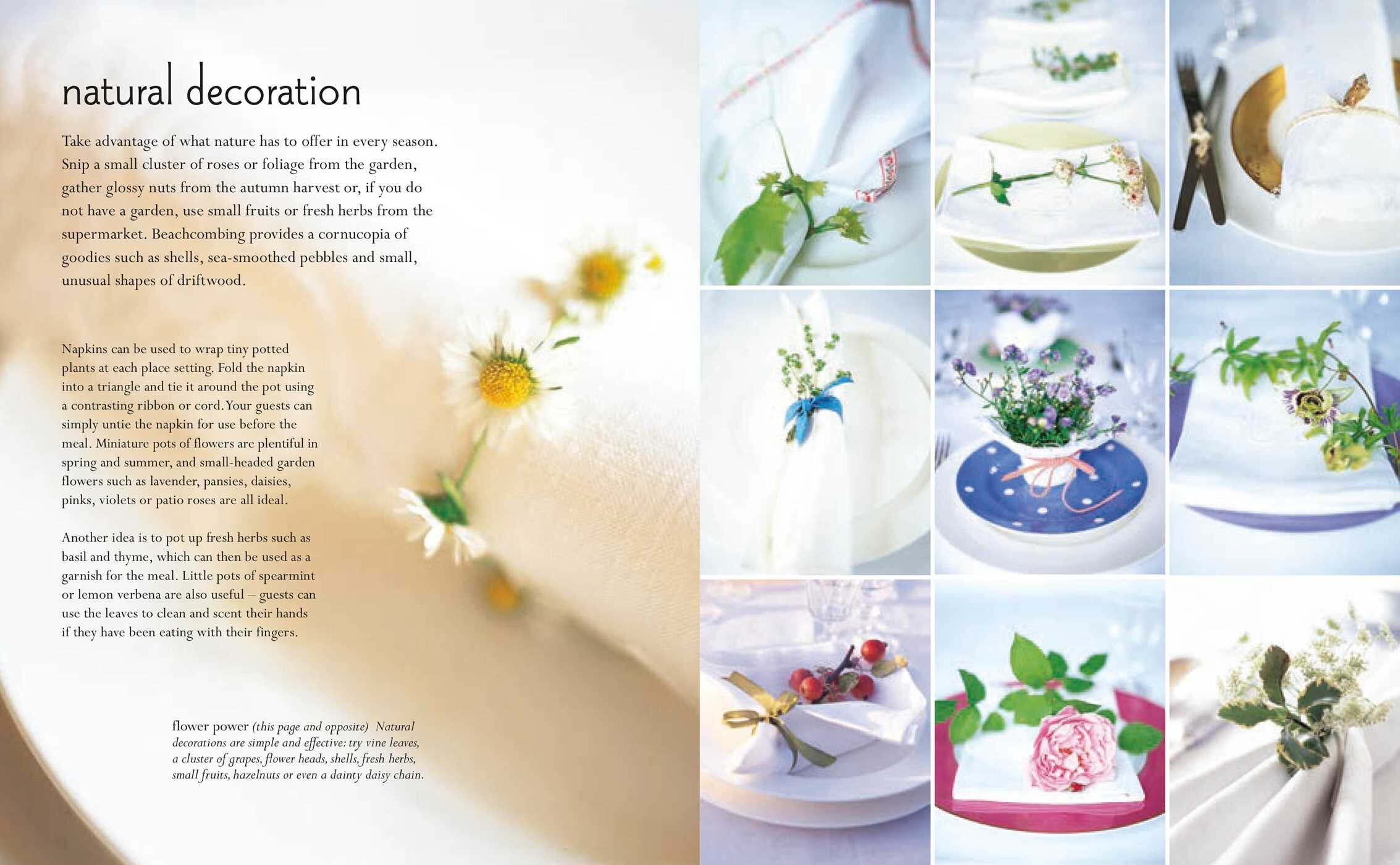 Art of Napkin Folding
