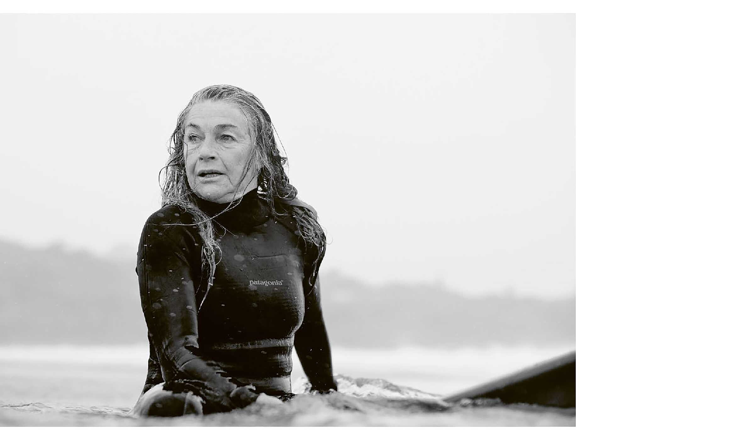 Life Around the Sea