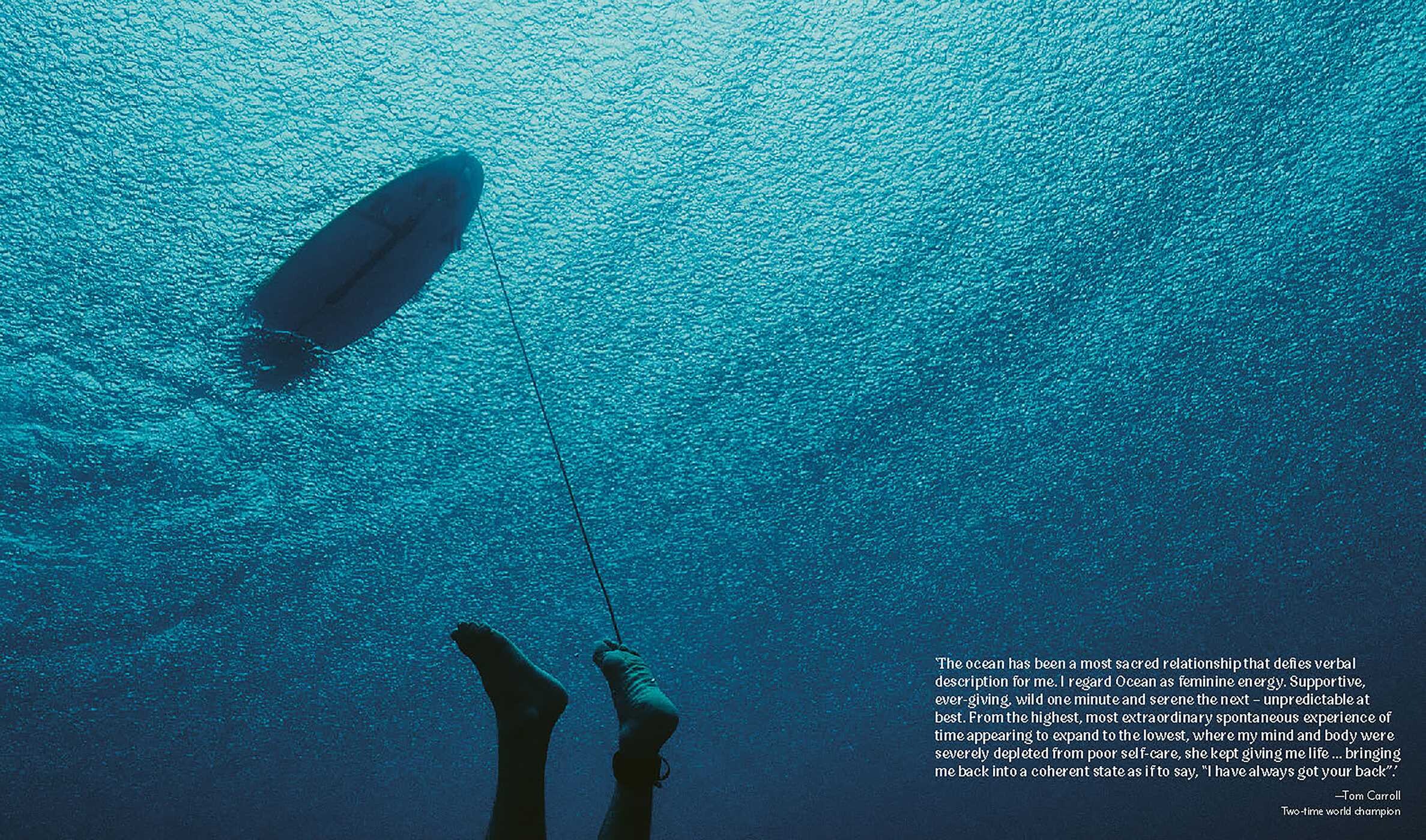 Life Around the Sea