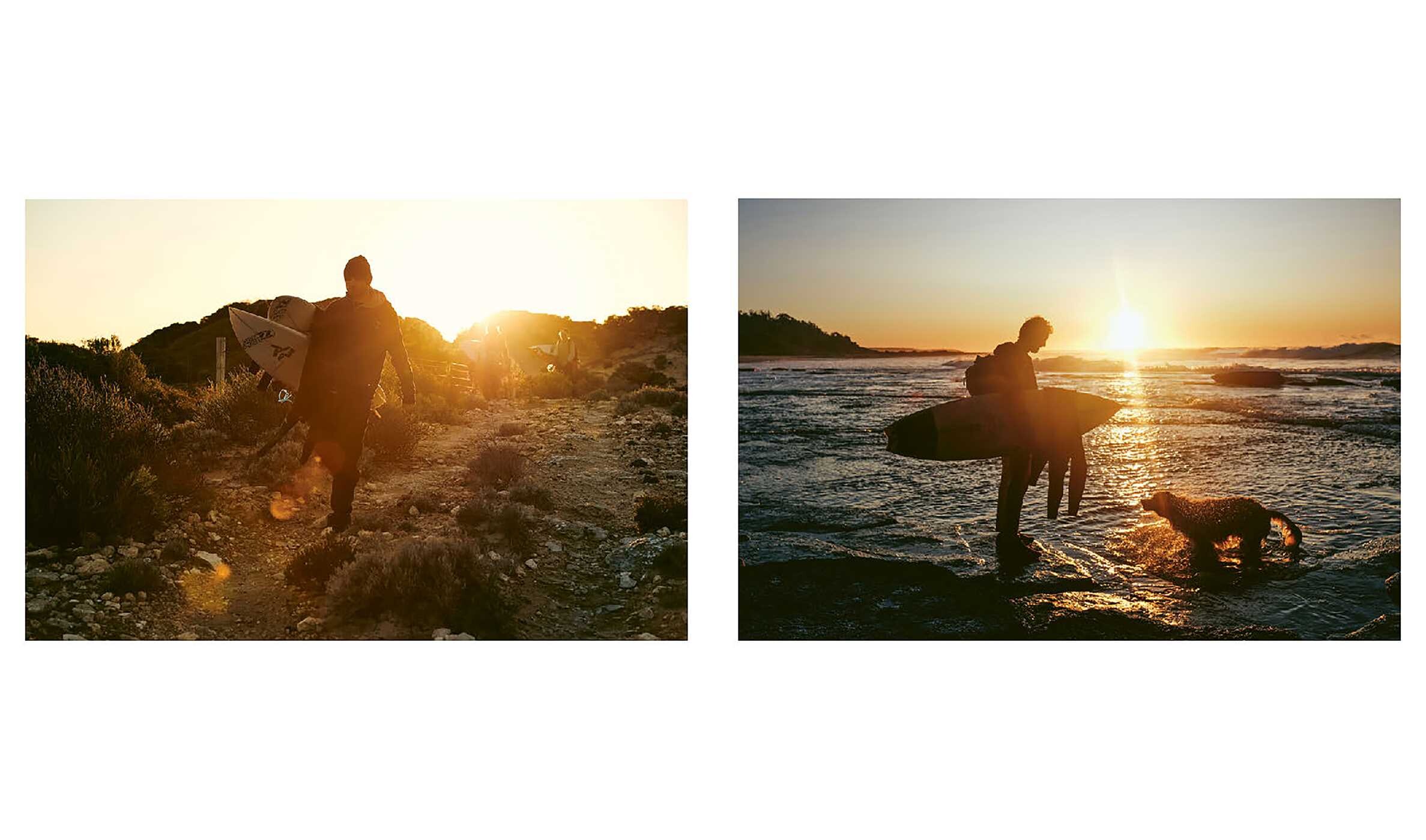 Life Around the Sea