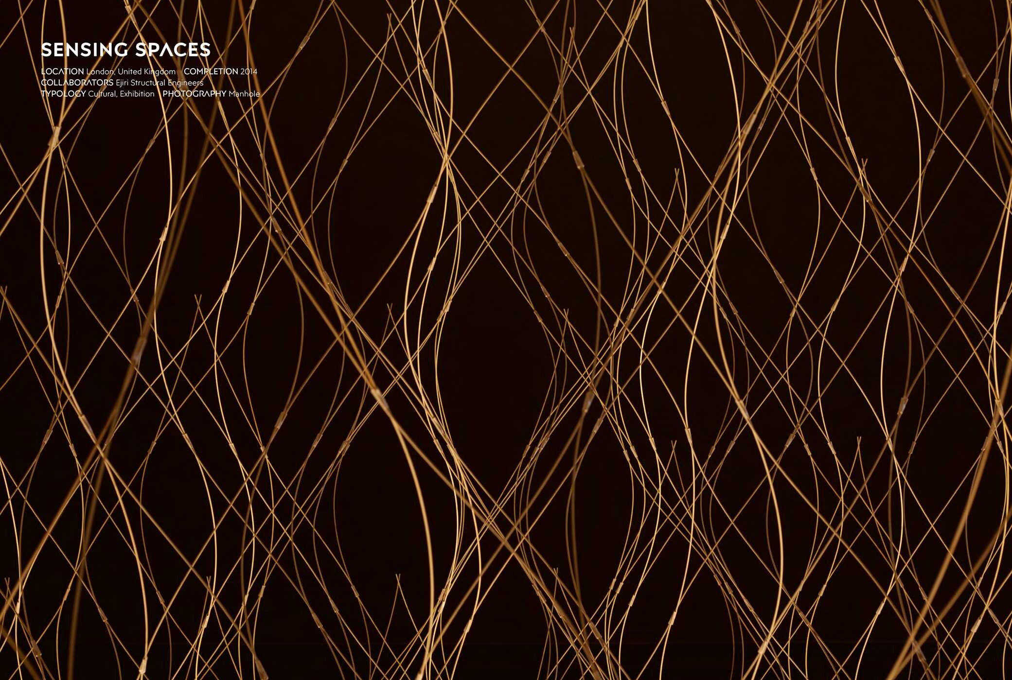 Kengo Kuma