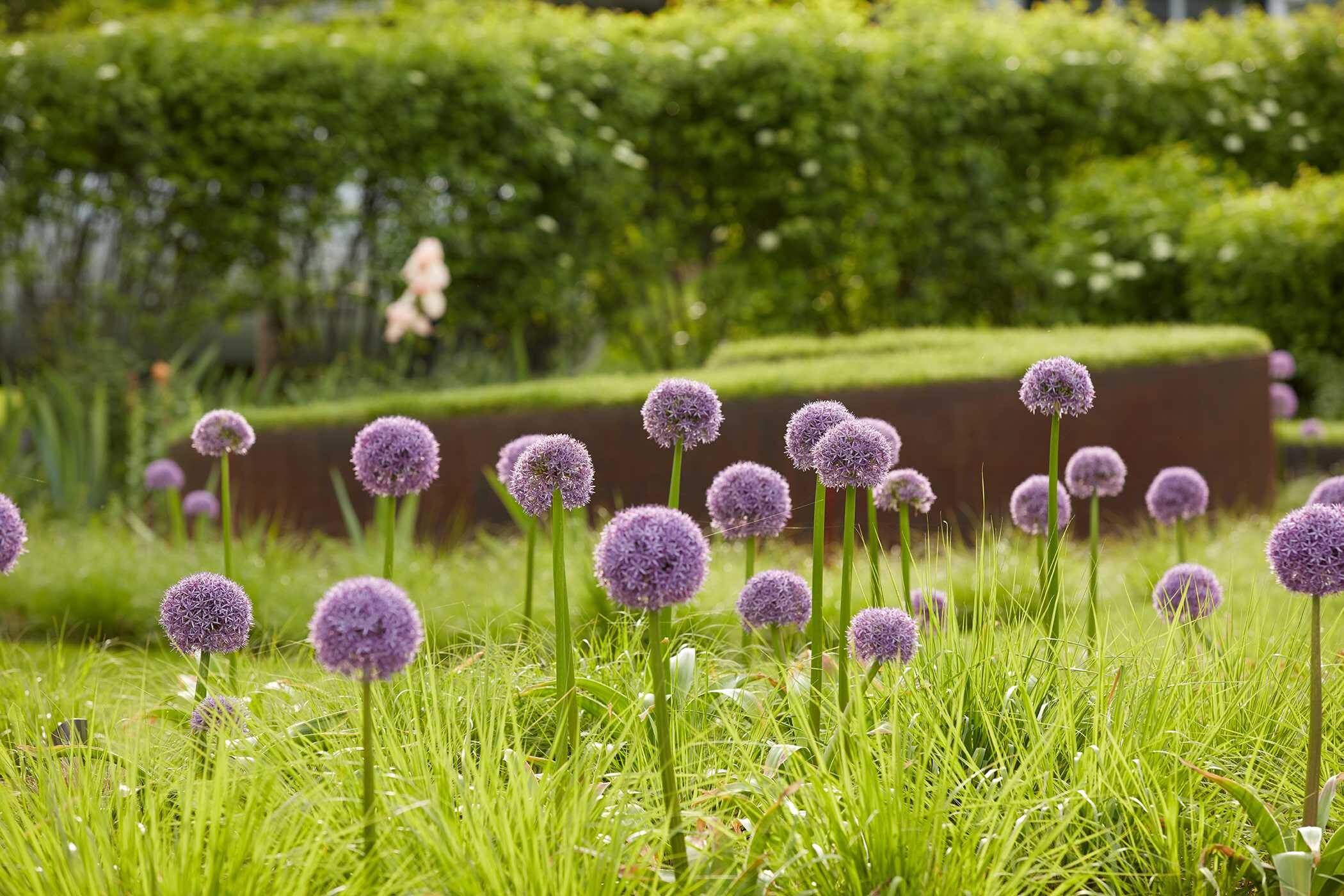Enduring Gardens