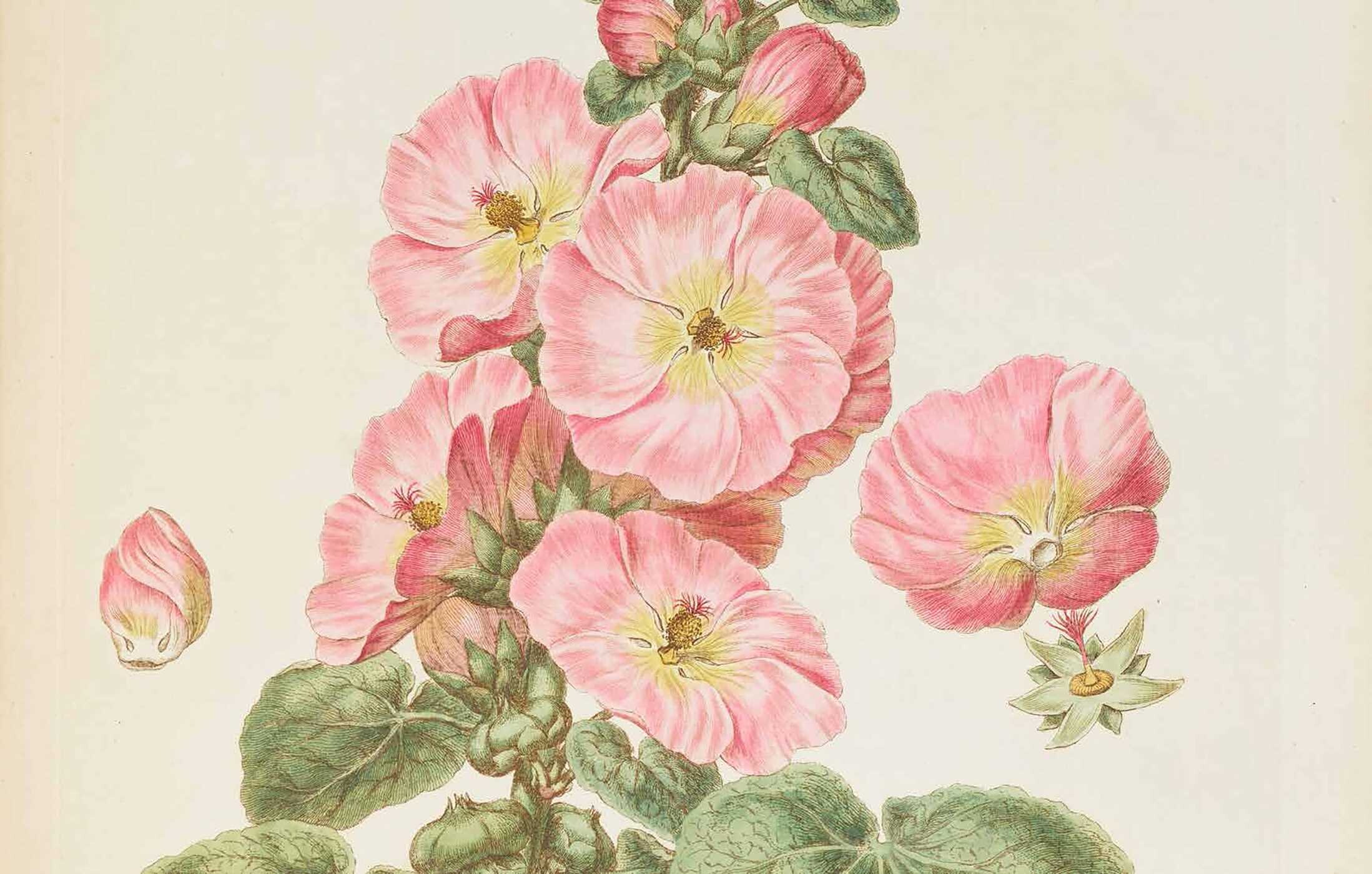 In Bloom