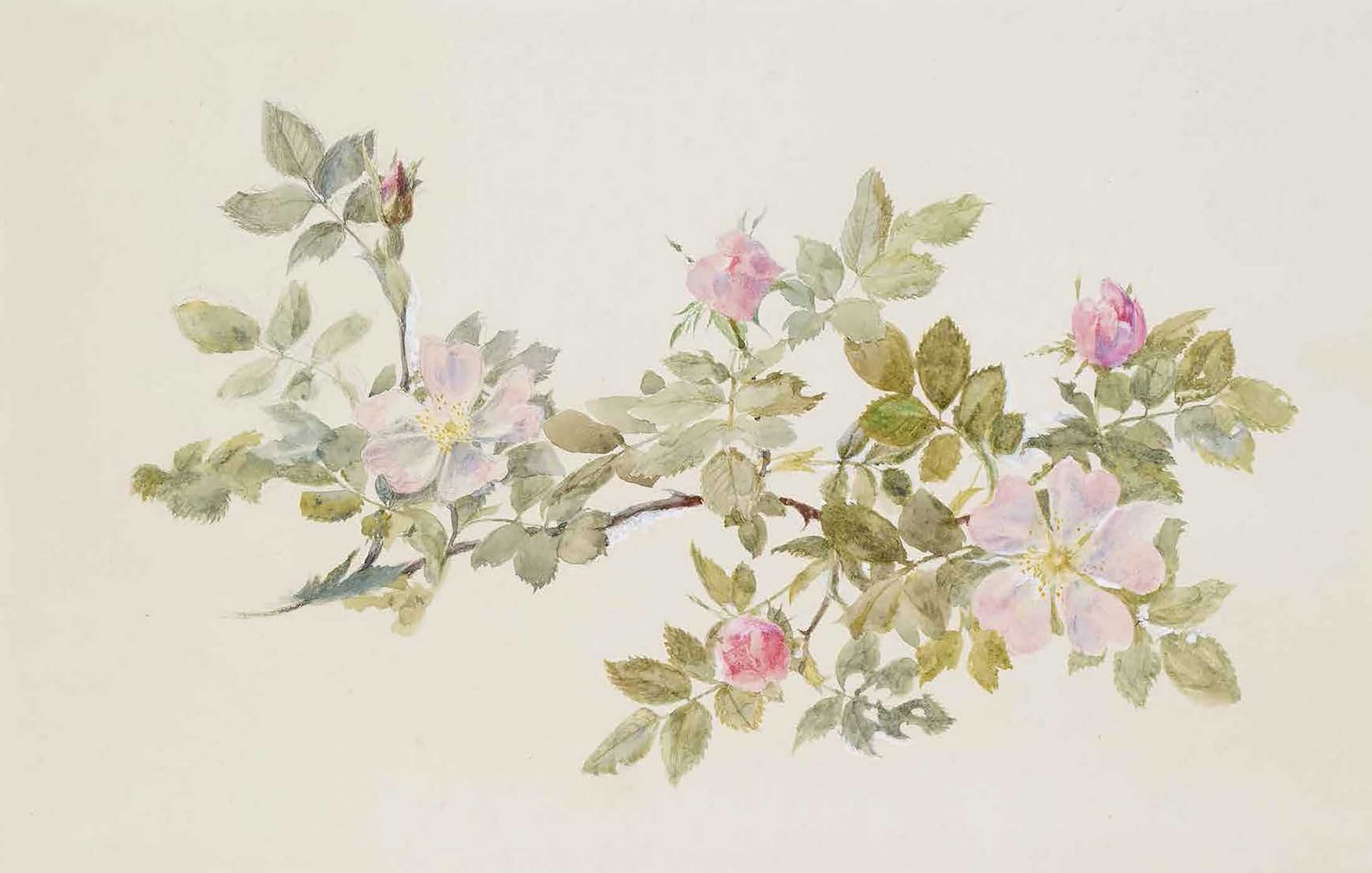 In Bloom
