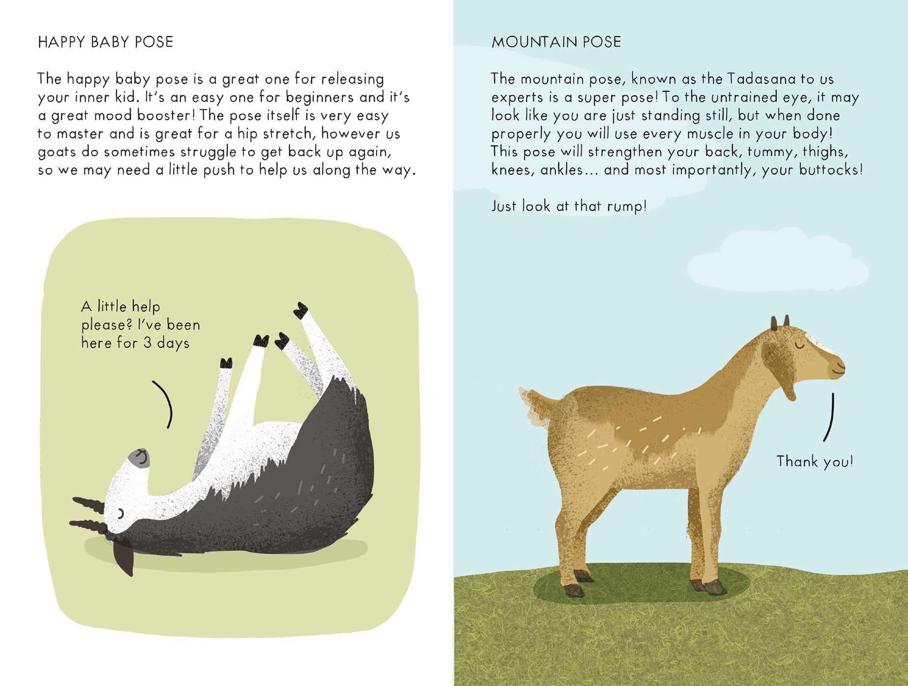 Beginner's Guide to Goat Yoga