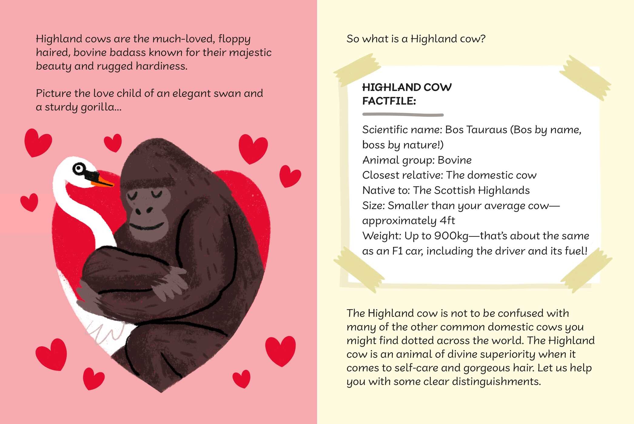 Highland Cow's Guide to Self-care