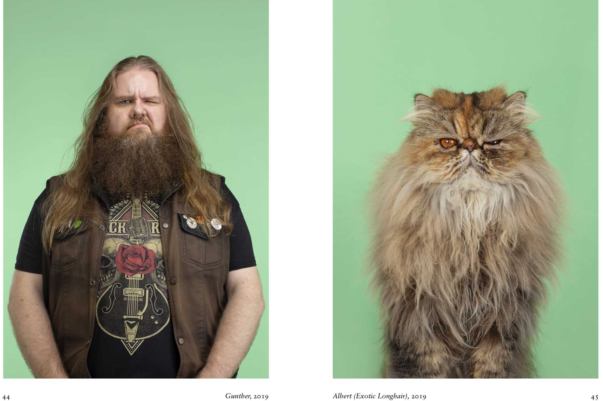 New Photography of the Cat.
