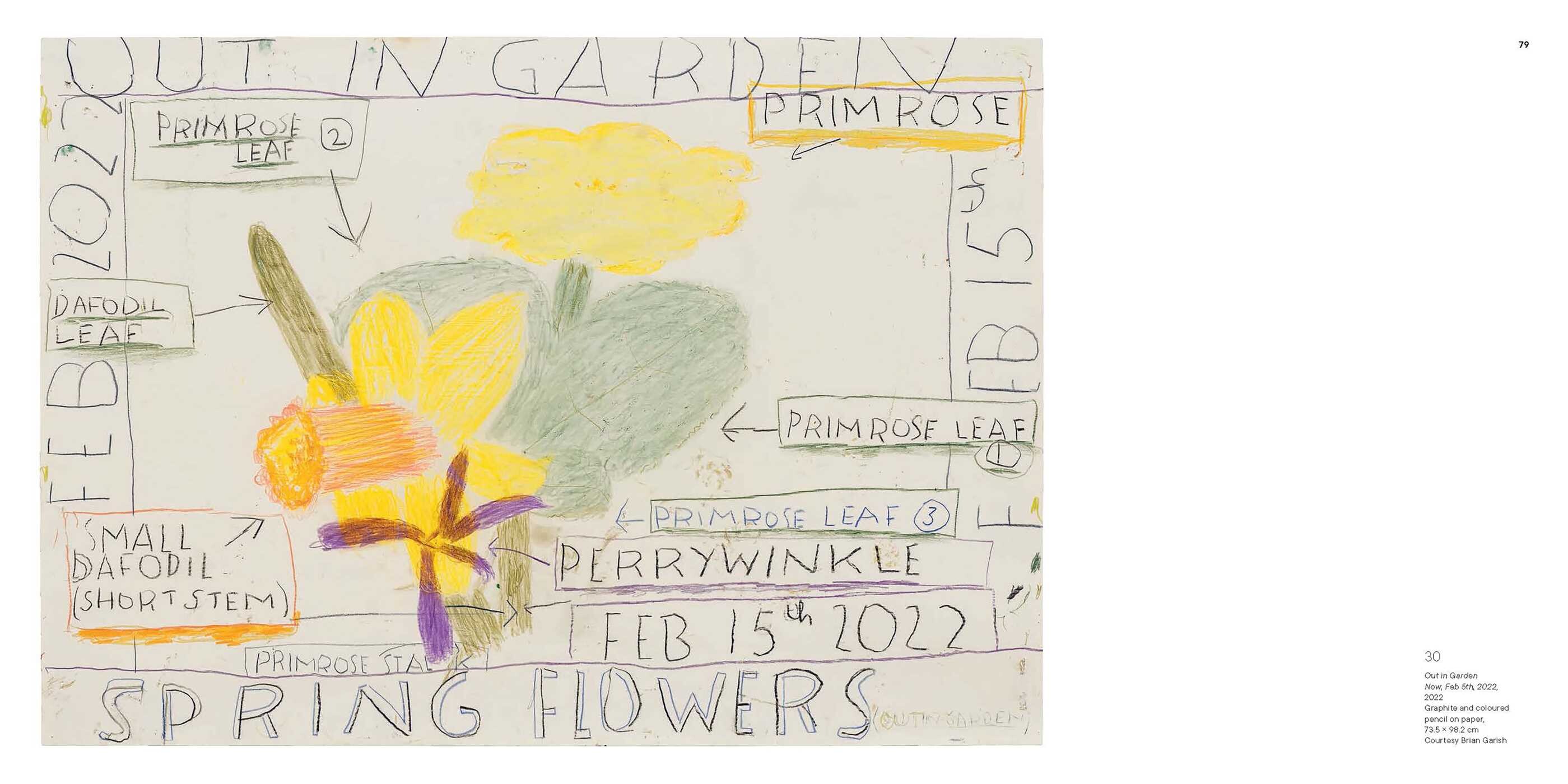 Rose Wylie